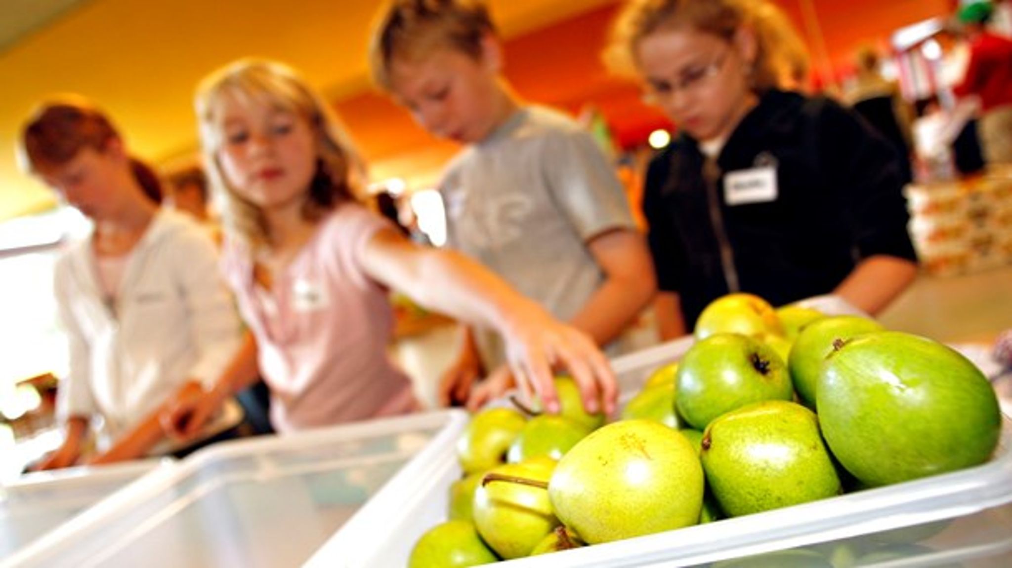 Omkring 327.000 børn er med i ordningen for skolemælk og knap 60.000 børn i ordningen for skolefrugt og -grønt.