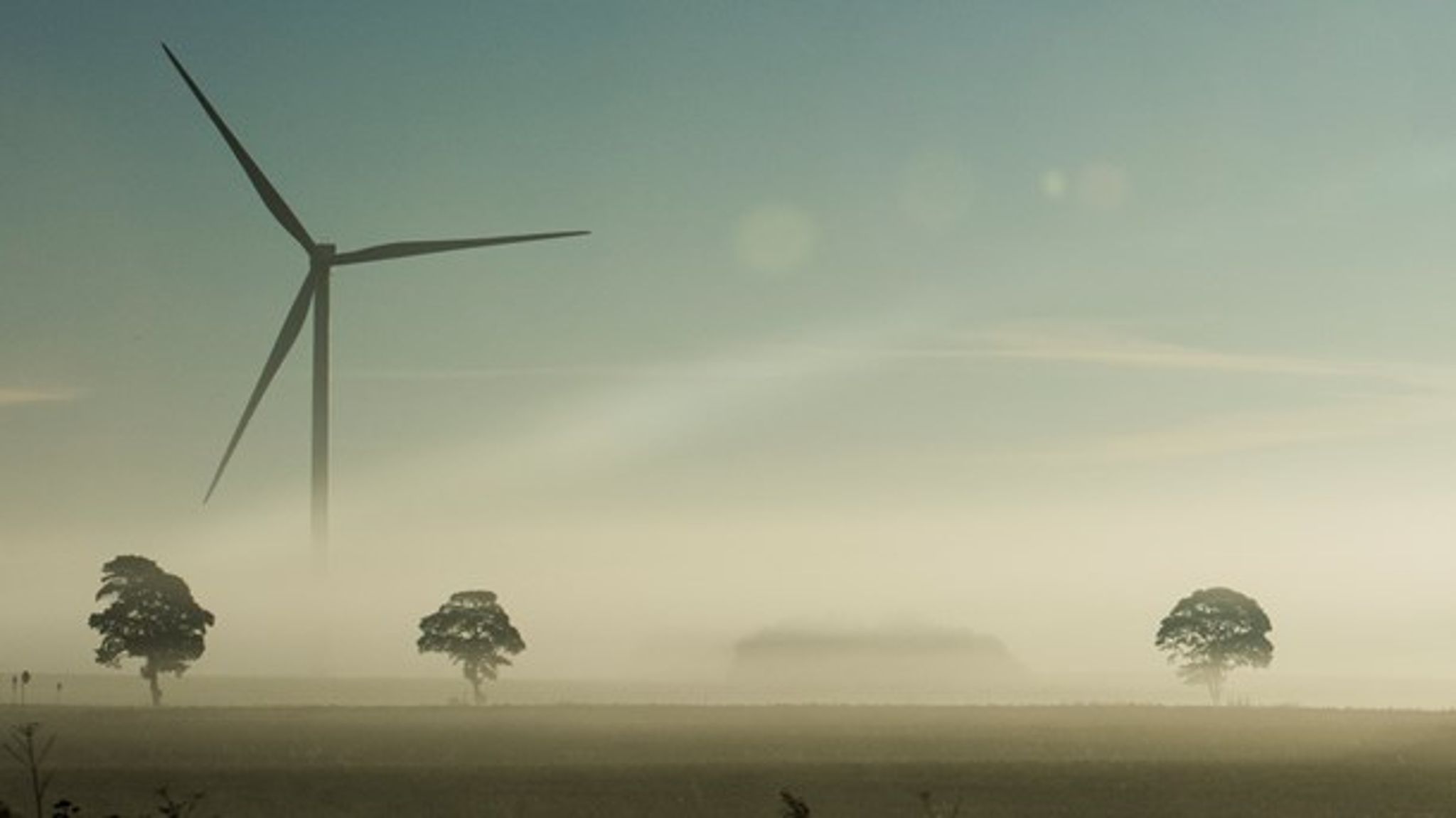 Branchen for vedvarende energi kommer tættere på at være selvkørende, men branchen når ikke i mål, hvis støtten droppes, mener direktør for European Energy.