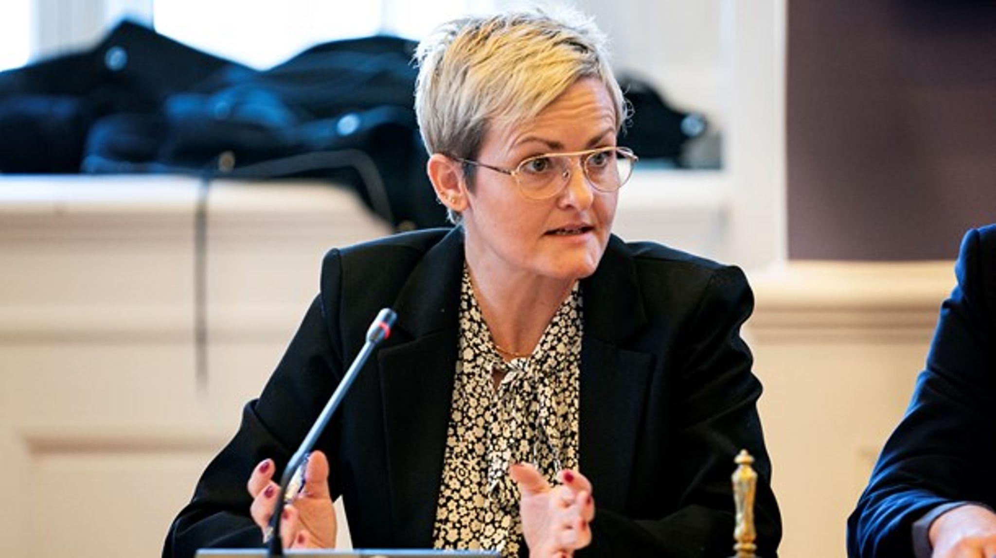 Pernille Rosenkrantz-Theil mener,&nbsp;at børn skal ”vaccineres” mod had mod mindretal.