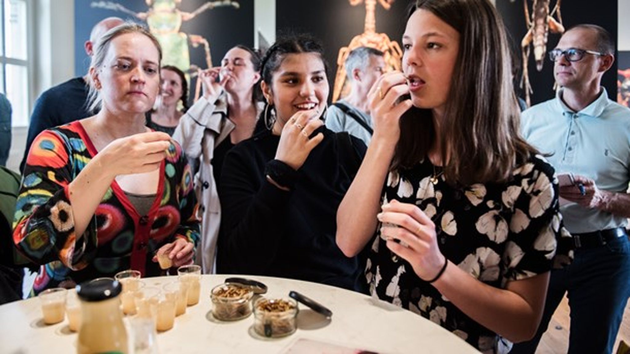 Insekter kan erstatte kød, fordi de indeholder store mængder jern, B12-vitamin, protein, fedtsyrer og fibre, skriver stifterne af fødevarevirksomheden Wholi Foods.&nbsp;