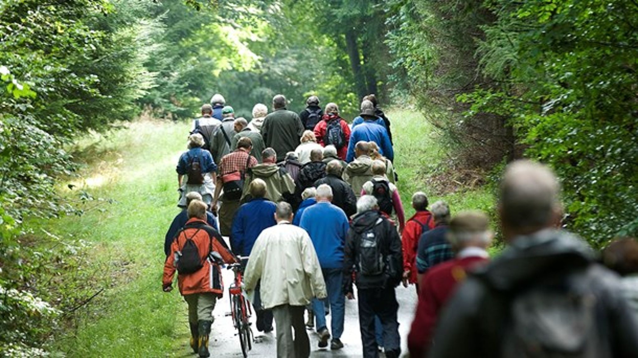 Dele af Nationalpark Kongernes Nordsjælland er lykkeligvis udpeget til urørt skov, der dog først effektueres om 6 år for løvskov og om 46 år for nåleskov, skriver Kenneth Buk.