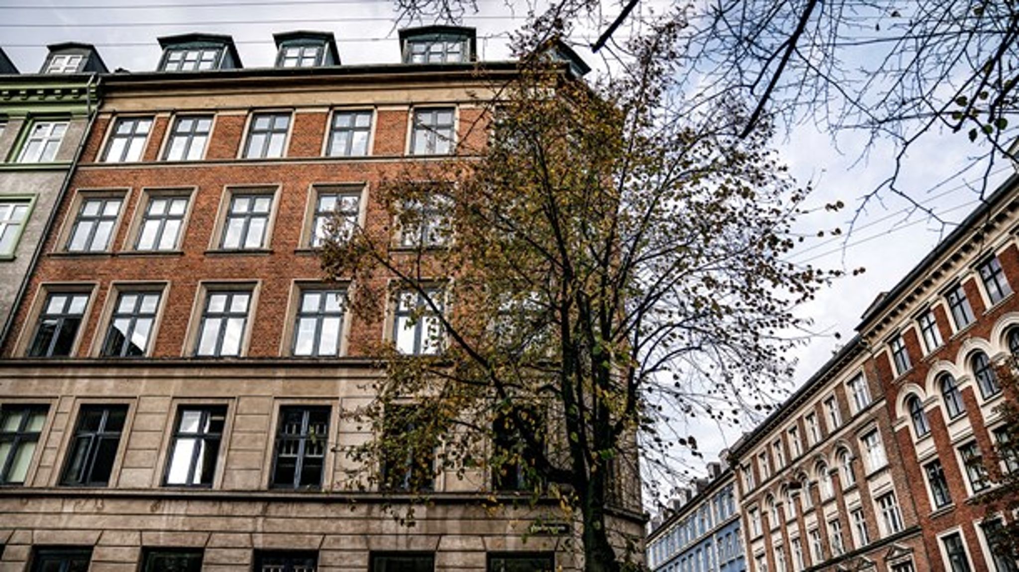 (Foto: Thomas Lekfeldt/Ritzau Scanpix)