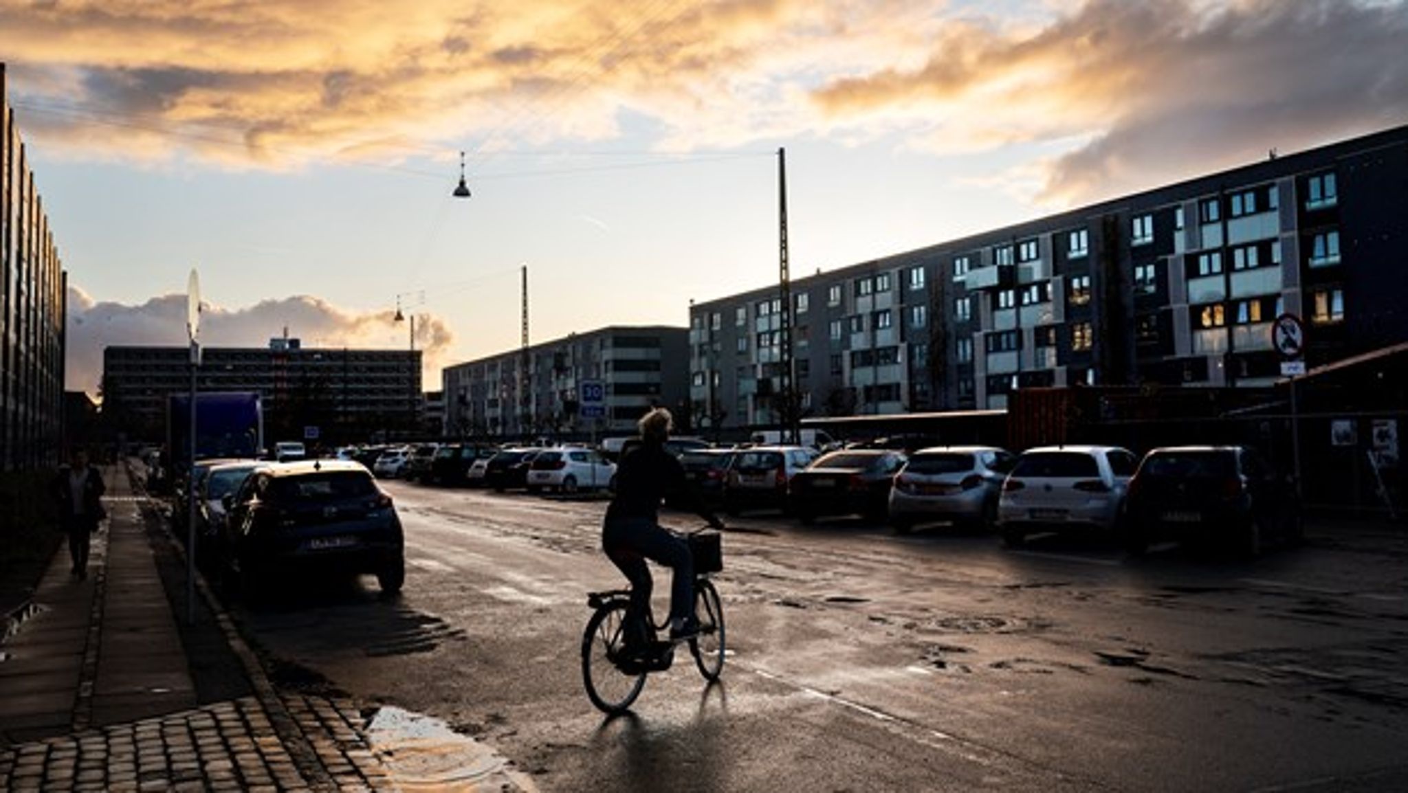 Et stort behov for grønne renoveringer i EU kan vendes til en mulighed for danske virksomheder, skriver Natalia Anna Rogaczewska.