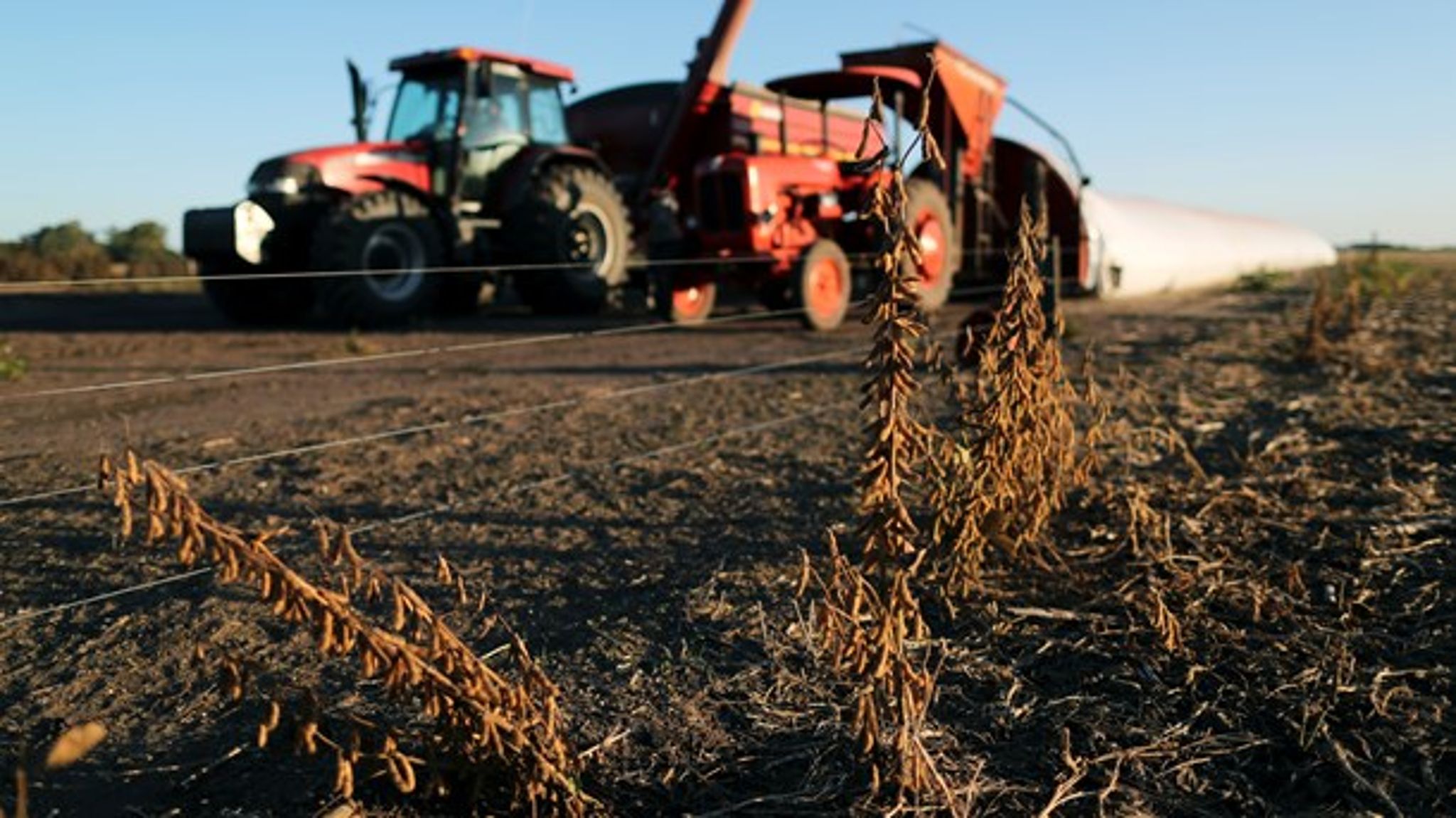 Selvom et importforbud af kød og soja fra Brasilien, der er produceret som følge af afskovning, lyder besnærende, er det ikke vejen frem, skriver Mogens Jensen. 