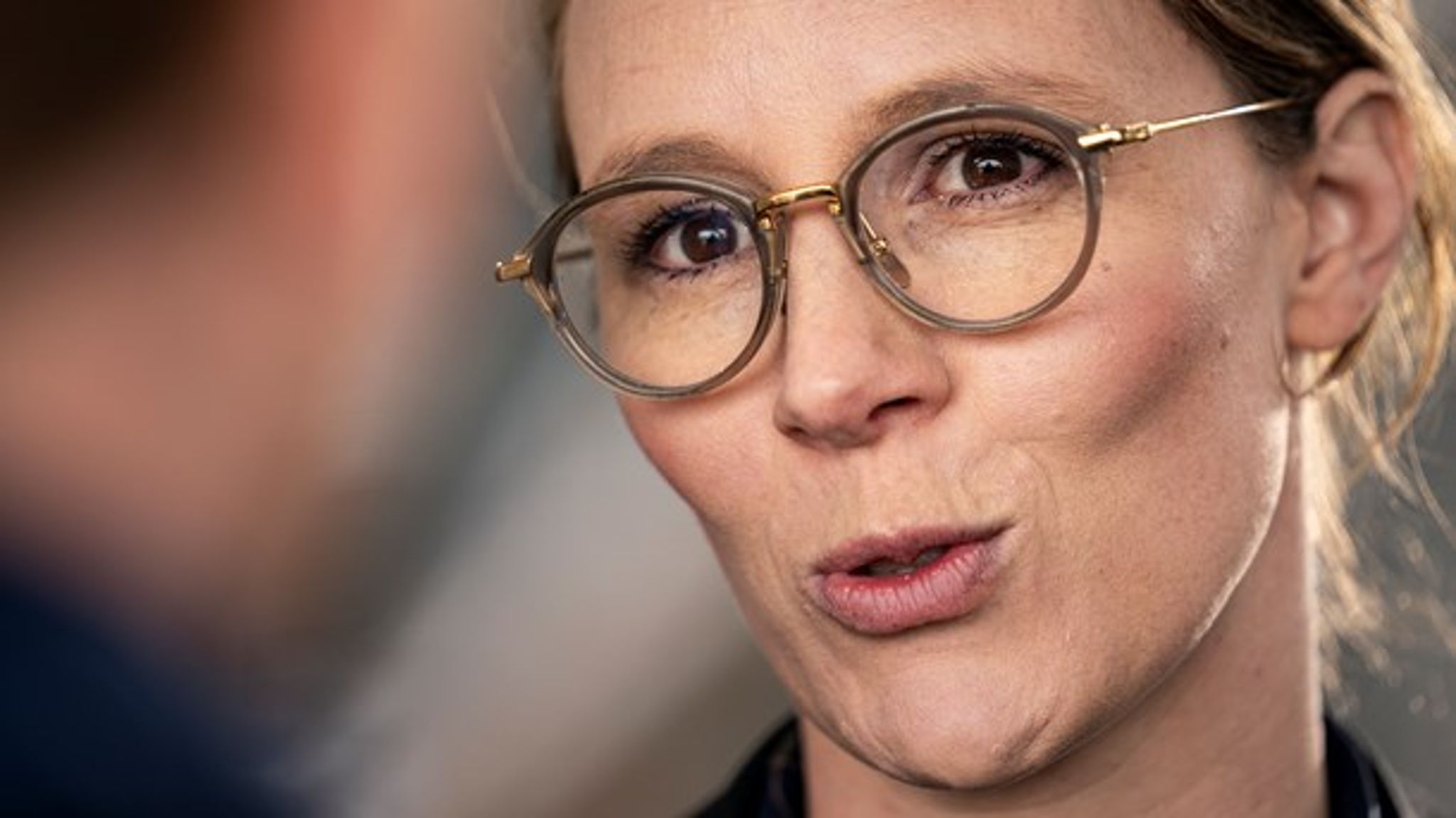 Regeringen bør nedsætte et adgangspolitisk udvalg, som skal rydde op i de love og regler, der i dag er styrende for befolkningens ophold i naturen, skriver&nbsp;Niels-Christian Levin Hansen.