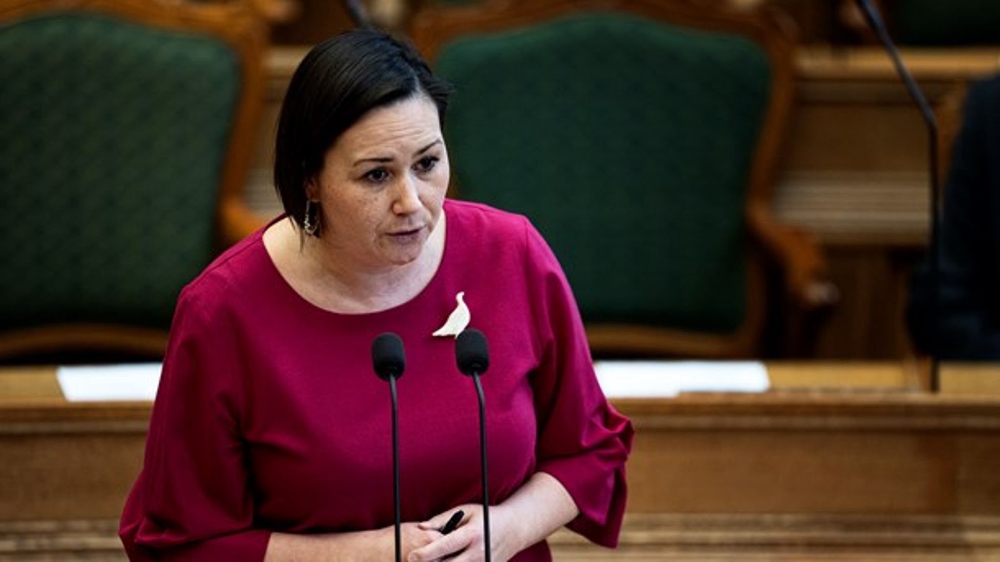 Aaja Chemnitz Larsen (Inuit Ataqatigiit) kalder den nye række af anbefalinger, der skal hjælpe udsatte grønlandske børn, gammel vin på nye flasker.