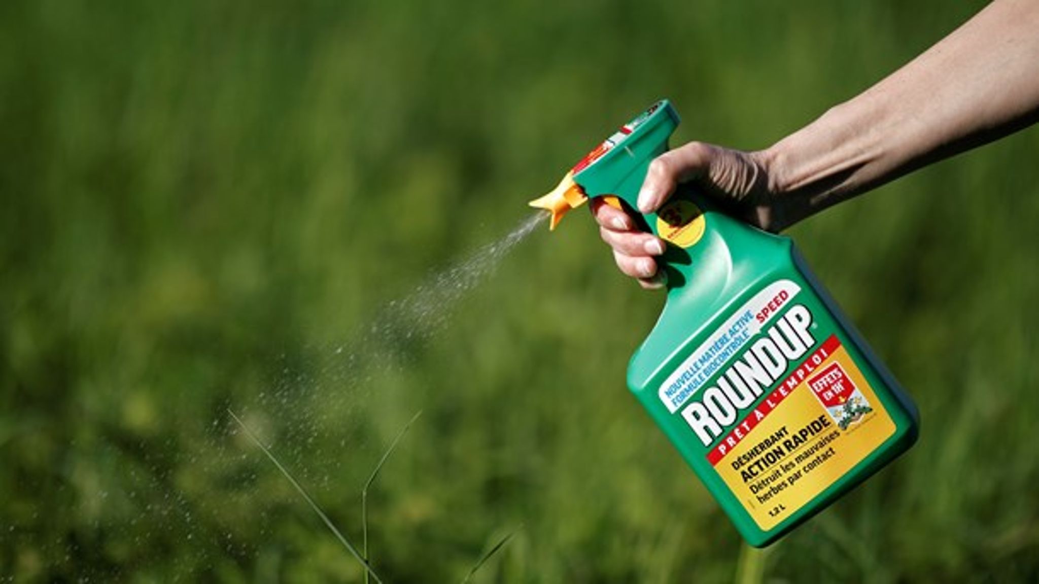 Glyphosat findes i ukrudtsmidlet Roundup.
