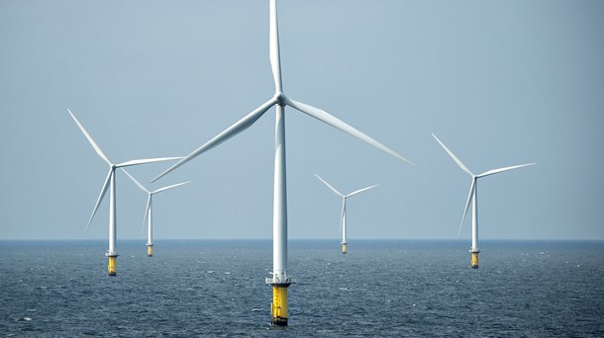 Impactful Jobs formidler jobs hos blandt andre energiselskabet Ørsted.