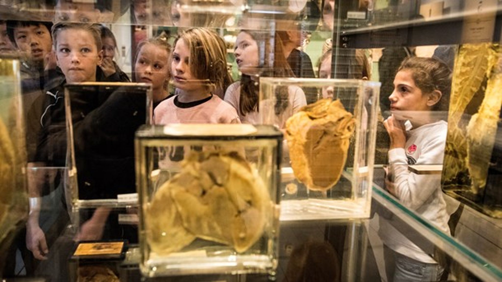 "Science i fritiden", "science-kapital" og ”Børn, unge og science” er nye fondsstøttede initativer, der skal give kommende generationer indsigt i natur, teknologi og menneskets samspil.