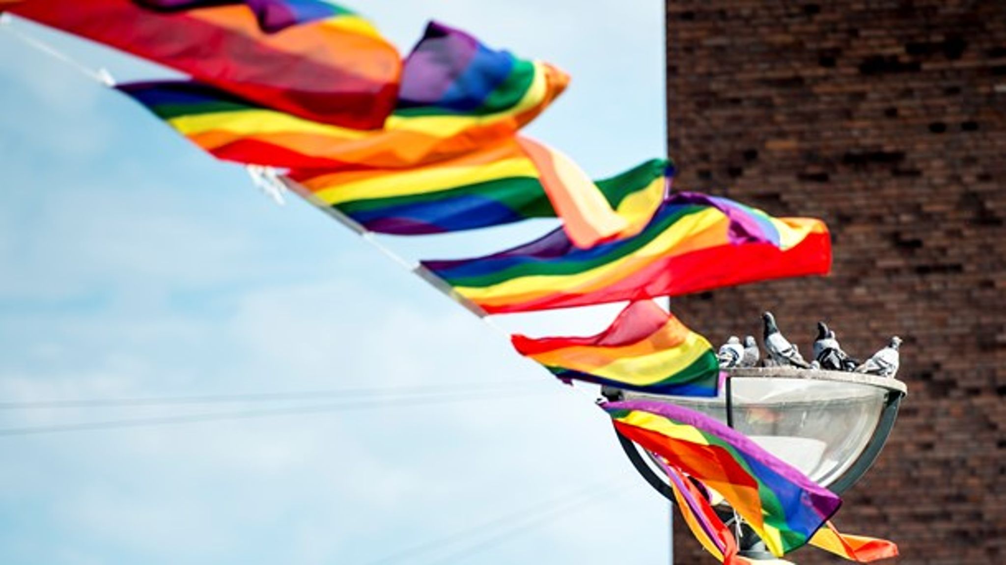 Efter kritik af&nbsp;formuleringer angående homoseksualitet på AdamogEva.dk, er&nbsp;alle svar og artikler angående homoseksualitet blevet revideret, skriver&nbsp;Vibeke Sode Hjorth.&nbsp;