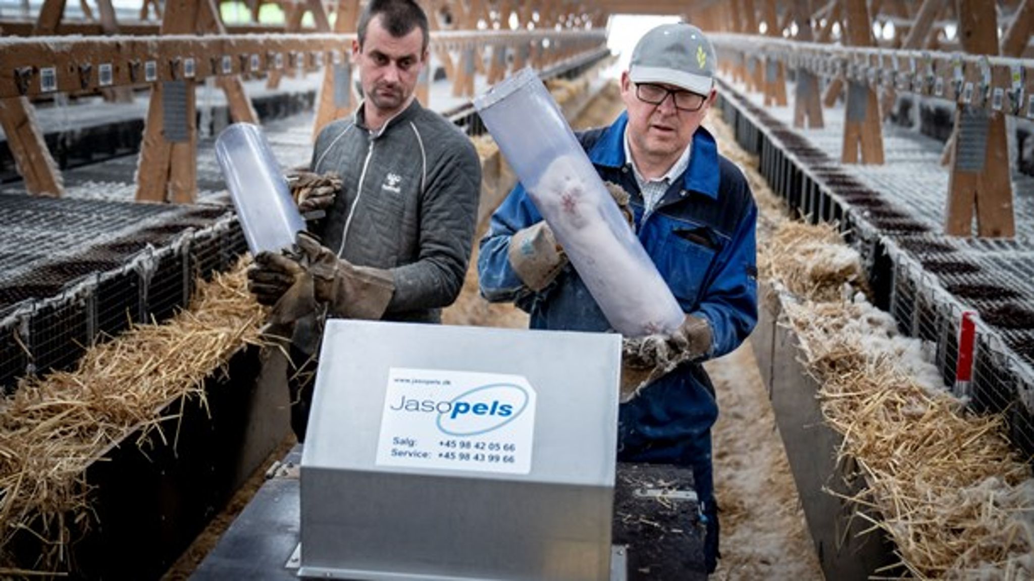 Minkordren&nbsp;var&nbsp;så gennemgribende, at myndighederne burde have spurgt, om de overhovedet havde ret til at køre fra farm til farm og tvinge den igennem, skriver Paula Larrain.