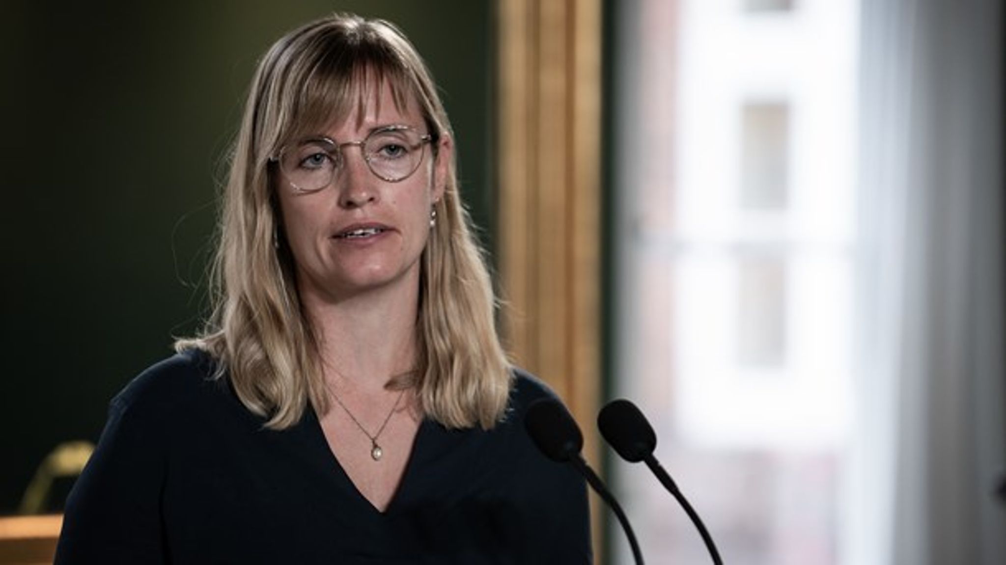 "Med den viden, vi har nu, kræver det ekstra midler over de kommende år," siger Stephanie Lose (V).&nbsp;