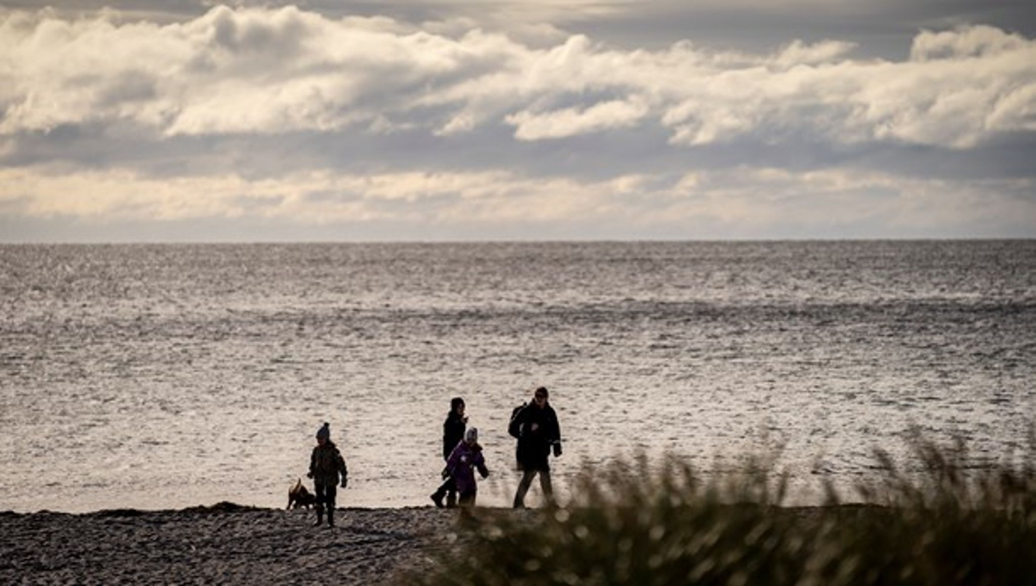30 procent af havet og 30 procent af landarealet skal være beskyttet i 2030 ifølge European Green Deal, skriver Steen Gade.