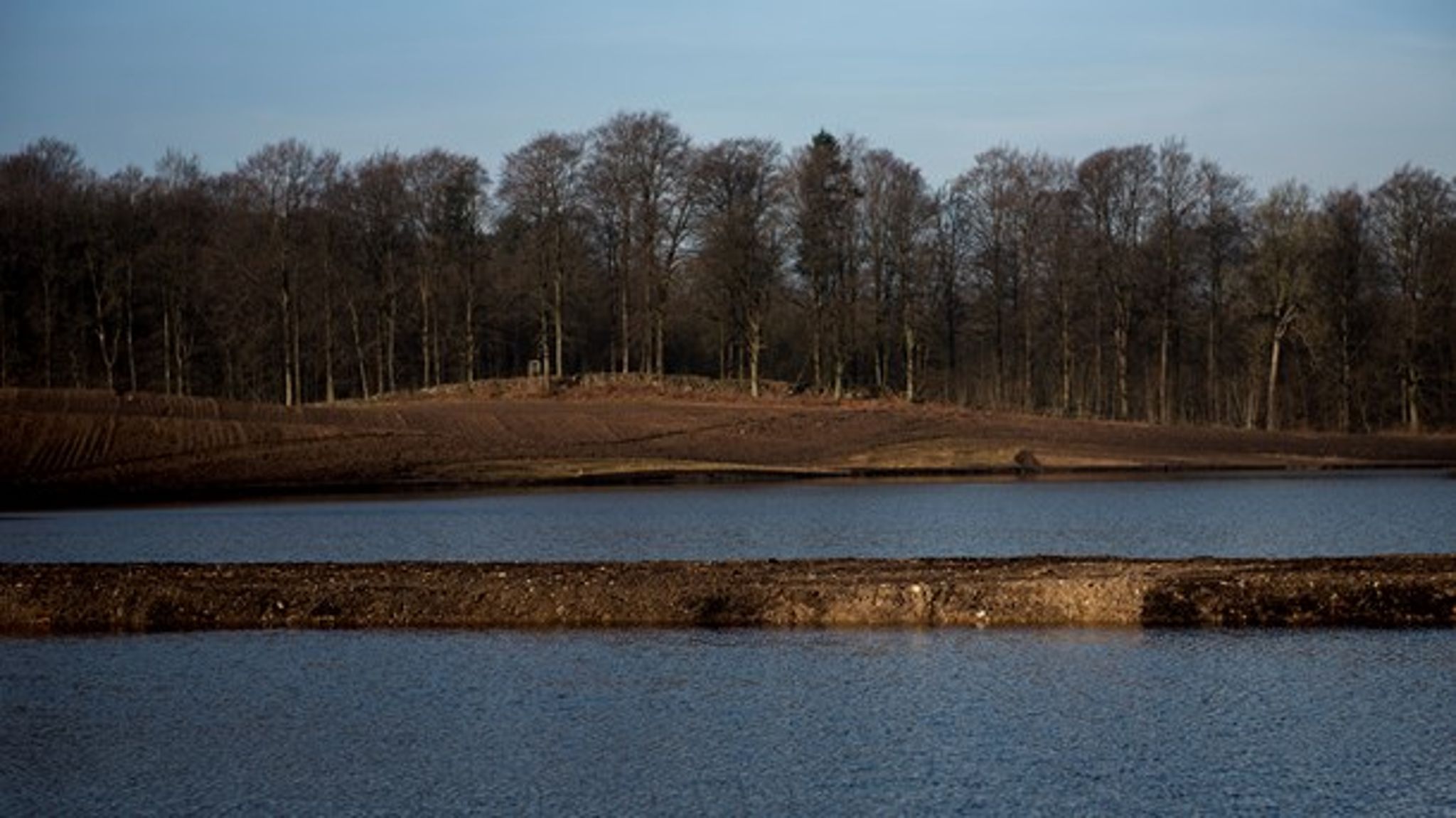 Der er flere positive sidegevinster ved genetablering af vådområder såsom&nbsp;CO2-reduktioner. Natur og biodiversitet vinder stort på det, skriver Thor Gunnar Kofoed.&nbsp;