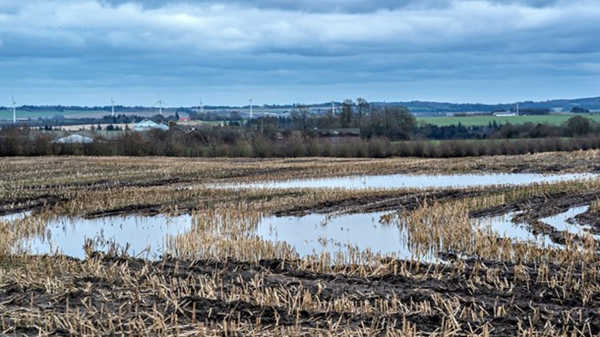 Med jævne mellemrum ser vi, hvordan marker bliver oversvømmet efter længere tids voldsomme regnskyl, skriver Susan Münster.