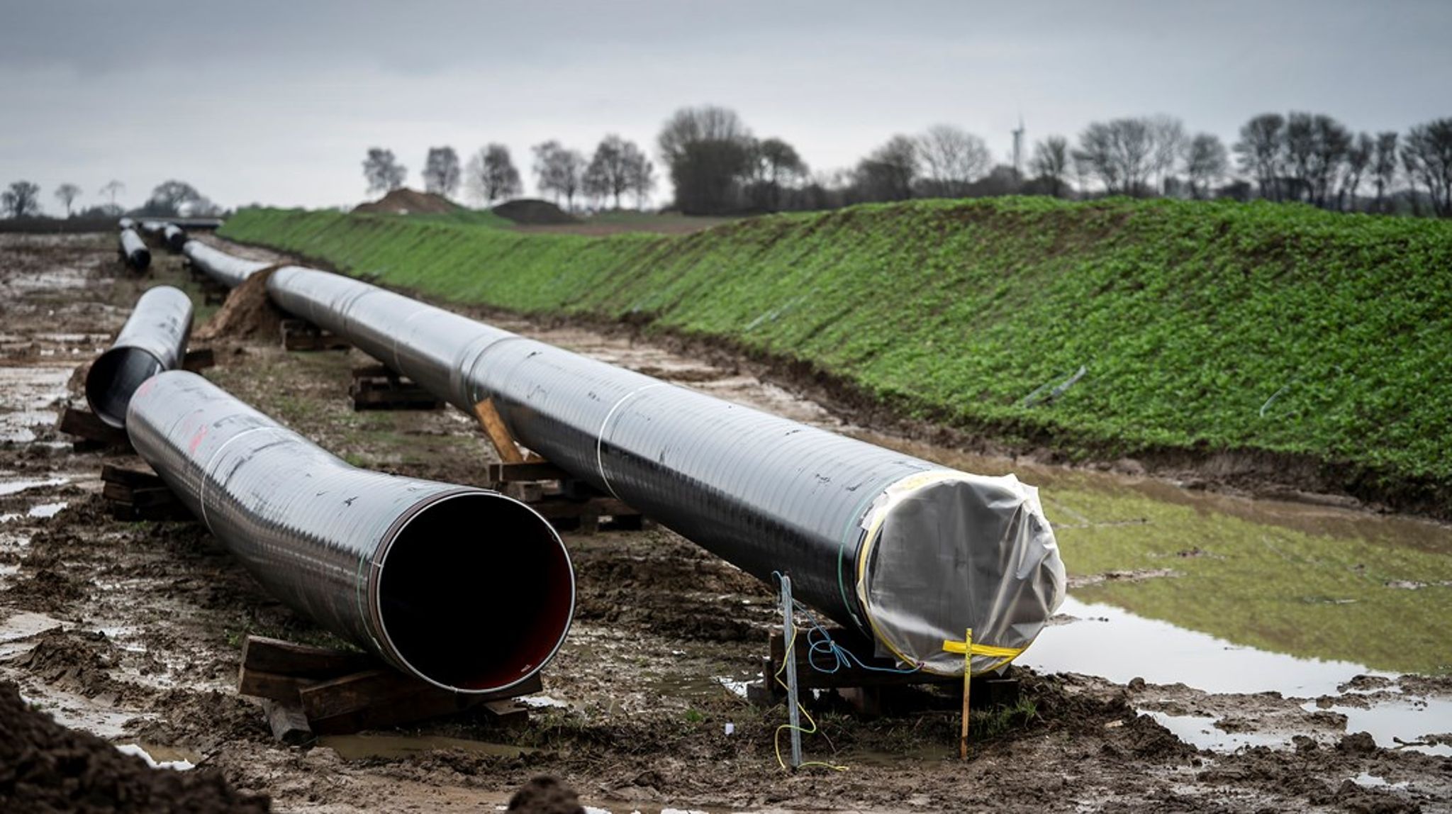 Regeringen har givet tilladelse til&nbsp;en ny gasledning til Lolland og Falster, der blandt andre&nbsp;skal hjælpe Nordic Sugars to sukkerfabrikker. Her ses&nbsp;nedgravningen af Baltic Pipe mellem Faxe og Næstved.