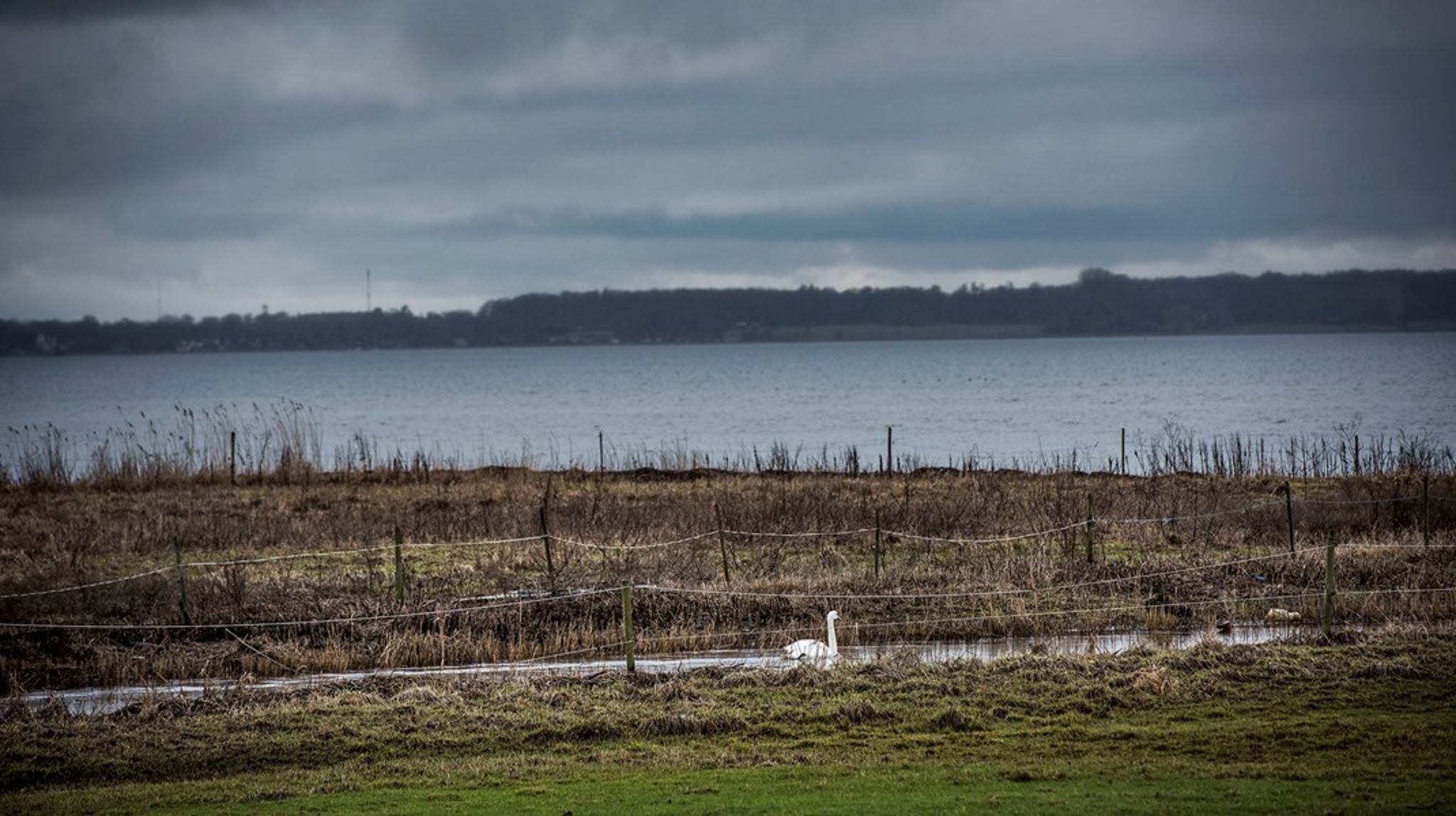 Drop ensidige fokus på kvælstof til fordel for en helhedsorienteret tilgang baseret på en forståelse af den enkelte fjords udfordringer, skriver Marie Østergaard og Anders Panum Jensen. Her Roskilde Fjord ved udløbet af Havelse Å.