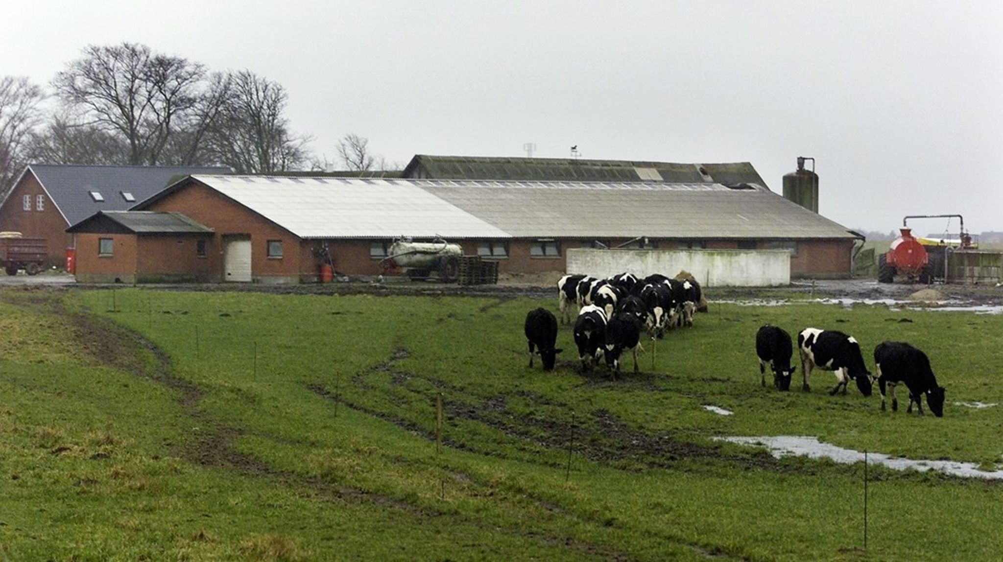 Øget mekanisering og automation vil formindskes landbrugets problemer med at skaffe arbejdskraft, men udviklingen vil bidrage yderligere til en folkevandring væk fra landdistrikterne, skriver&nbsp;Nick Hutchings og Tommy Dalgaard.