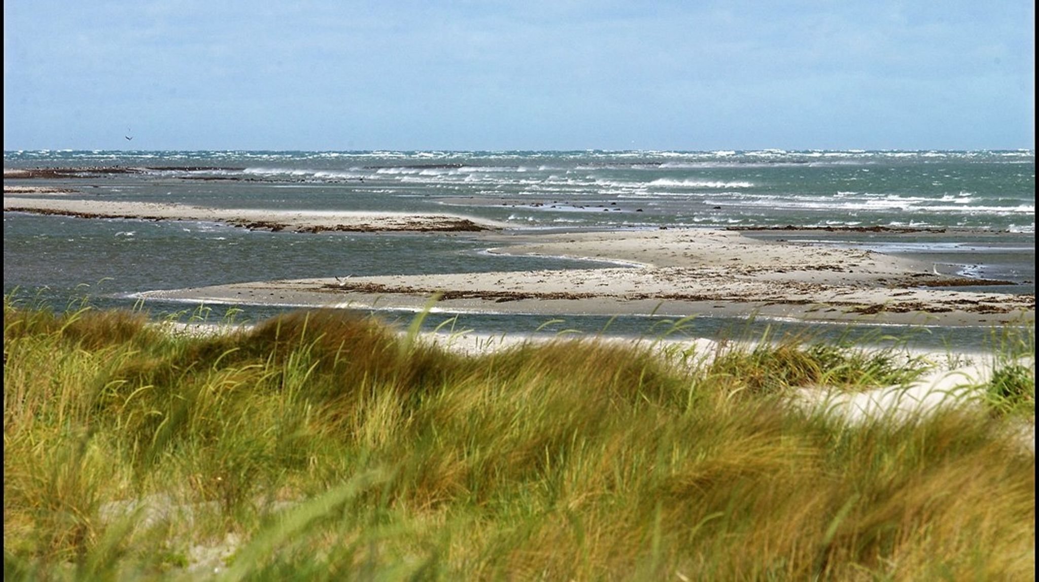 Politikken bag naturnationalparkerne er udtryk for kassetænkning og tager ikke højde for naturens særegne egenskaber rundt omkring i landet, skriver Jens Morten Hansen (V).