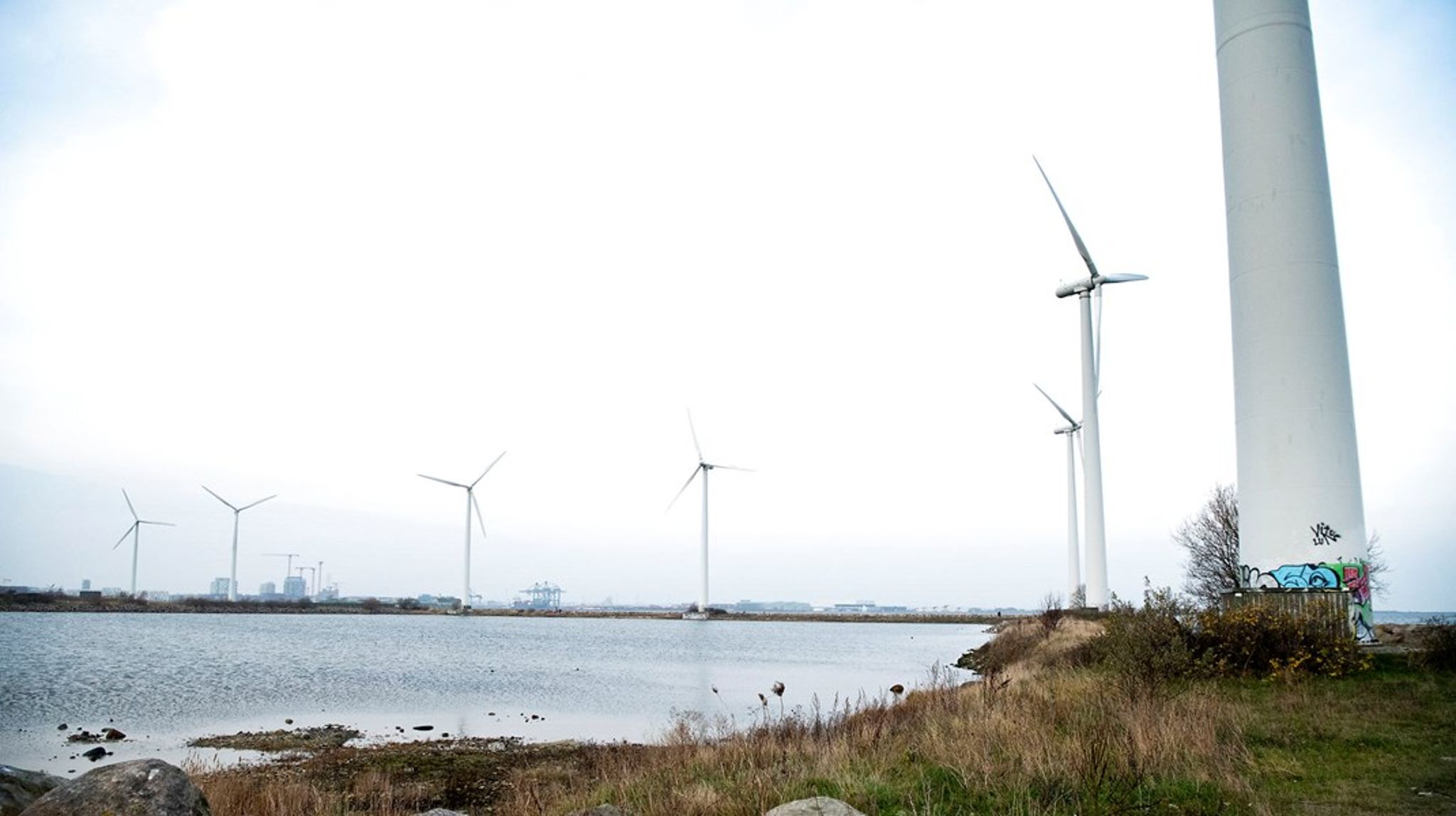 Der skal stilles klare krav til de grønne indkøb. Hvis vi skal drive denne omstilling i et tilstrækkeligt tempo, er der behov for ambitiøse og transparente krav, skriver Tom Heron og Camilla Damgaard.