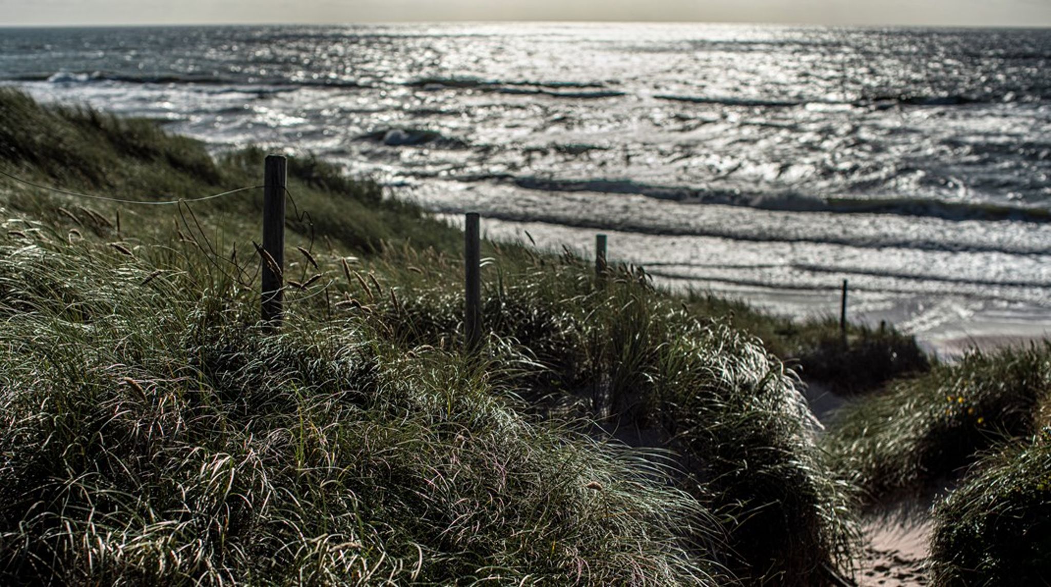 Et voksende hensyn til turismeerhvervet kommer til at betyde, at&nbsp;der bliver anlagt&nbsp;landets største Lalandia 500 meter fra Søndervig&nbsp;strand ved Vesterhavet. Det er for galt, skriver Johanne Dalgaard.