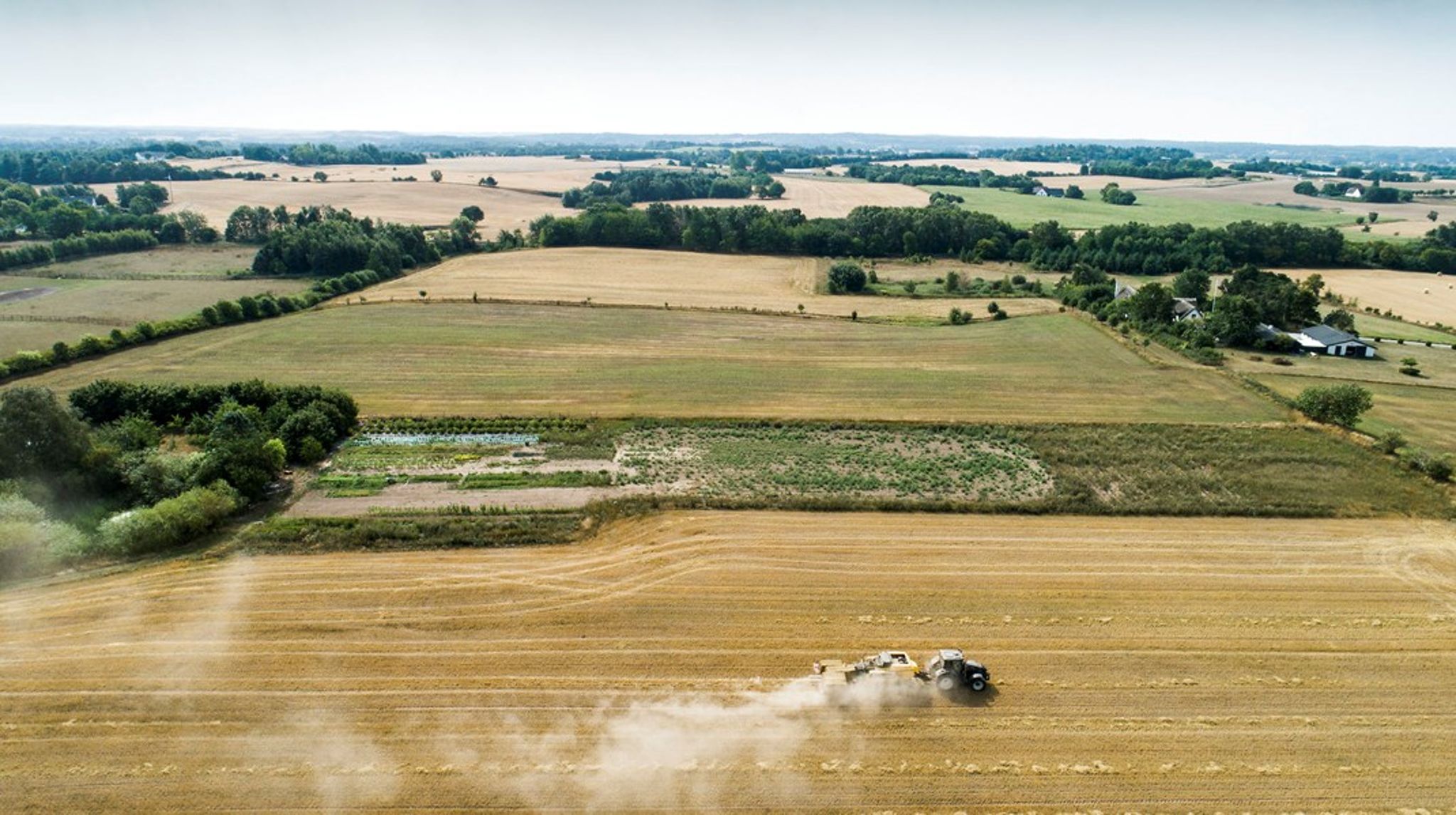 Danmark&nbsp;får kritik for at have alt for lidt natur og meget ringe biodiversitet. Danmark er det næstmest opdyrkede land i verden, skriver Steen Gade.