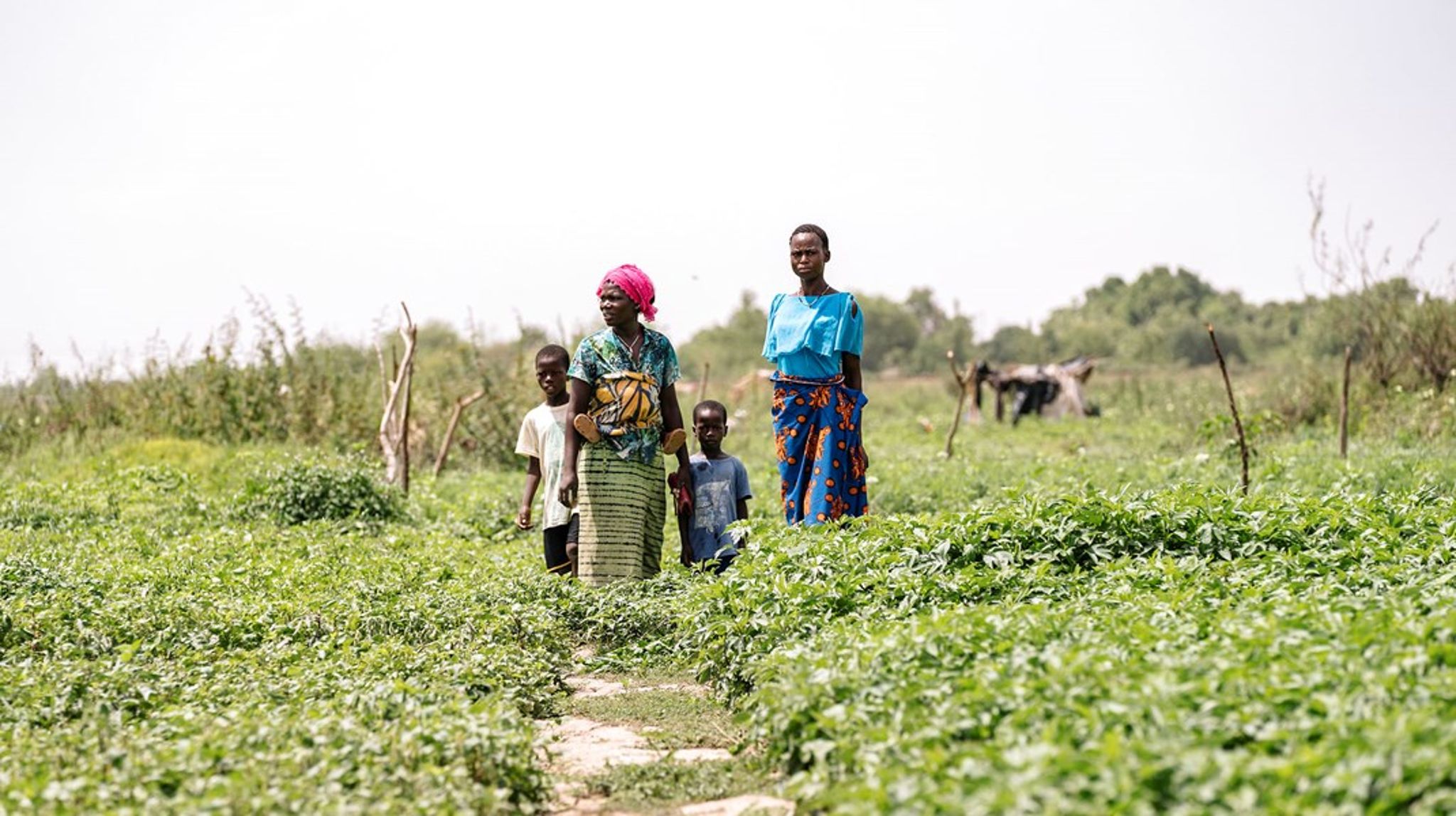 Afrikanske lande er allerede i dag hårdt ramt af klimaforandringer. Loumbila-vandreservoiret&nbsp;bidrager med til 29 procent af&nbsp;vandforsyning i Burkina Fasos hovedstad, Ouagadougou, men er truet af forurening og klimaforandringer.