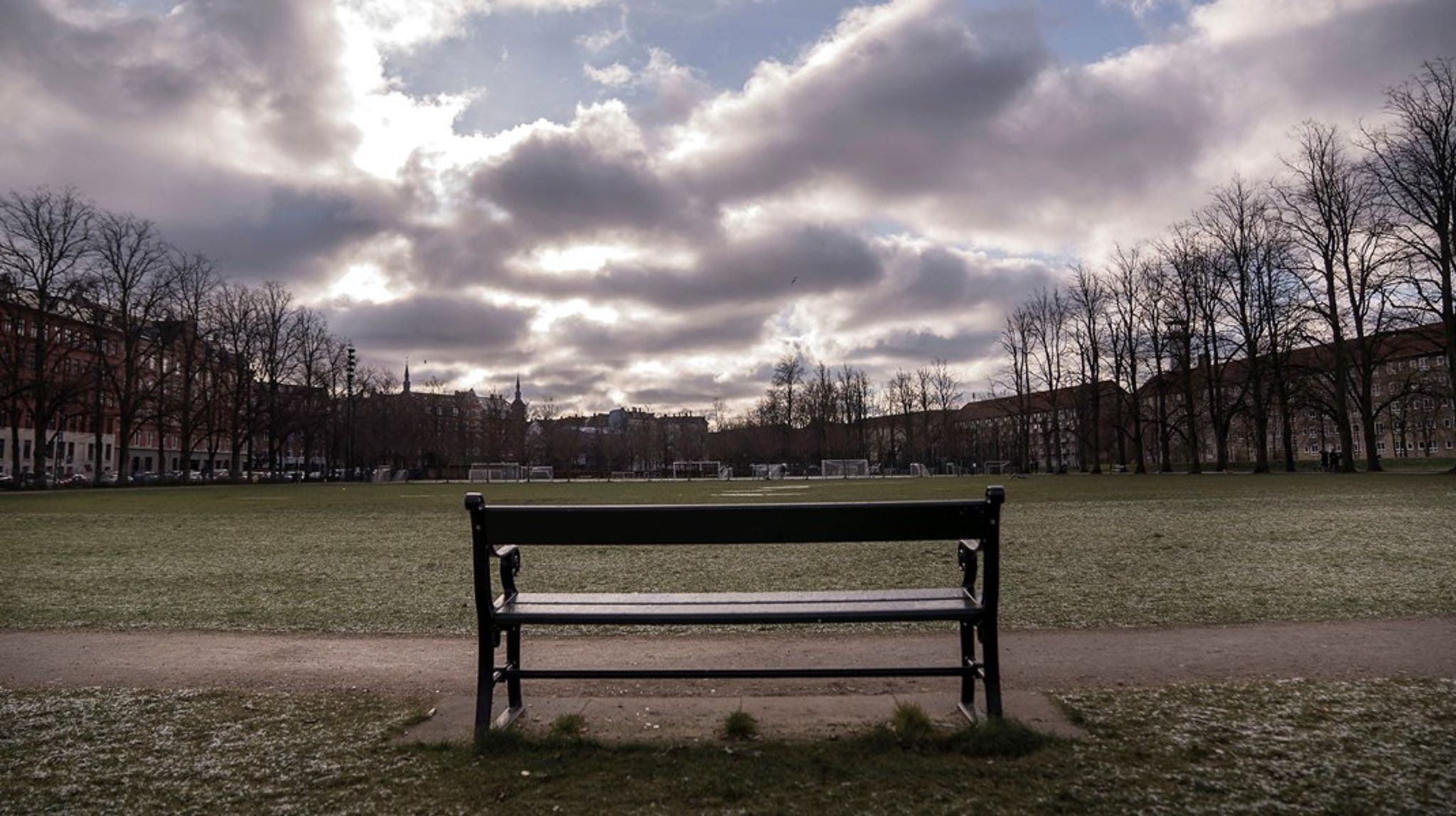 Politikere bør ikke skyde Danmarks Naturfredningsforening skæve motiver i skoene, når de forsøger at beskytte en fredning af dele af Nørrebroparken, skriver Emil Sloth Andersen.<br>