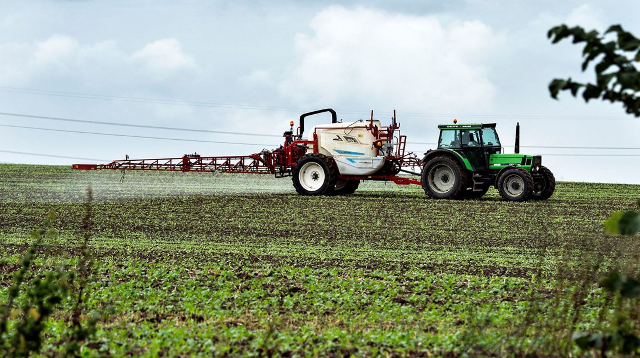 Biologiske løsninger til planteproduktion kommer til at være en vigtig del af den grønne omstilling af landbruget, skriver 

















Svend Christensen



og Mette Walter.<br>