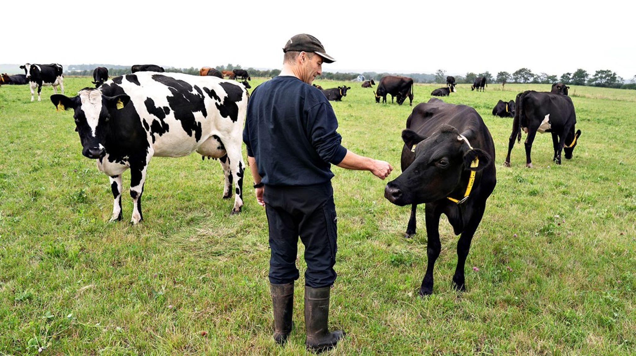 Vi udsættes for pesticider, når vi spiser ikke-økologisk mad, og når vi drikker postevand, skriver Sybille Kyed.<br>