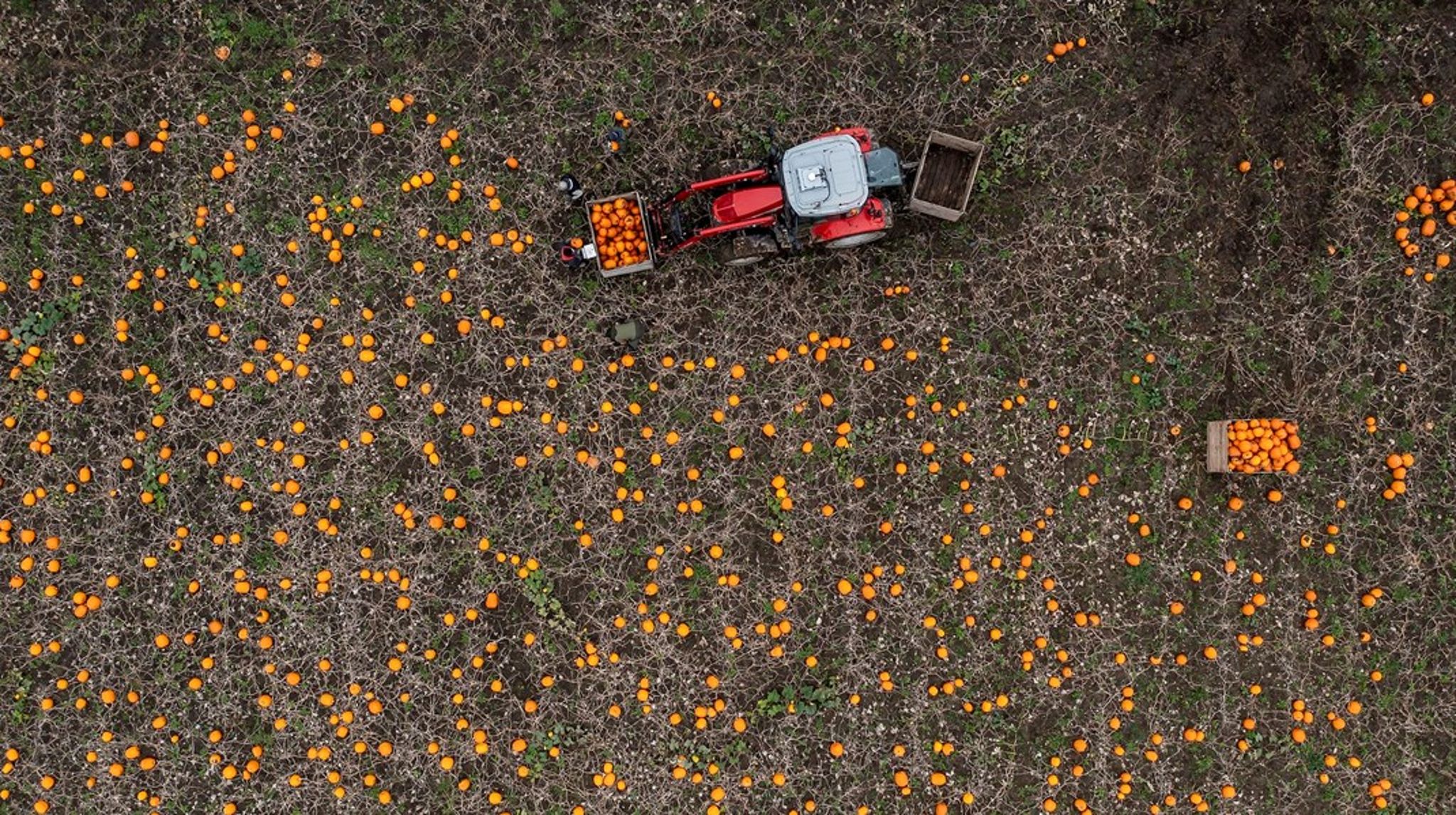 Midlerne, der er stillet til rådighed i landbrugsaftalen, skal dække hele værdikæden - fra jord til bord, skriver Frederik Madsen.<br><br>