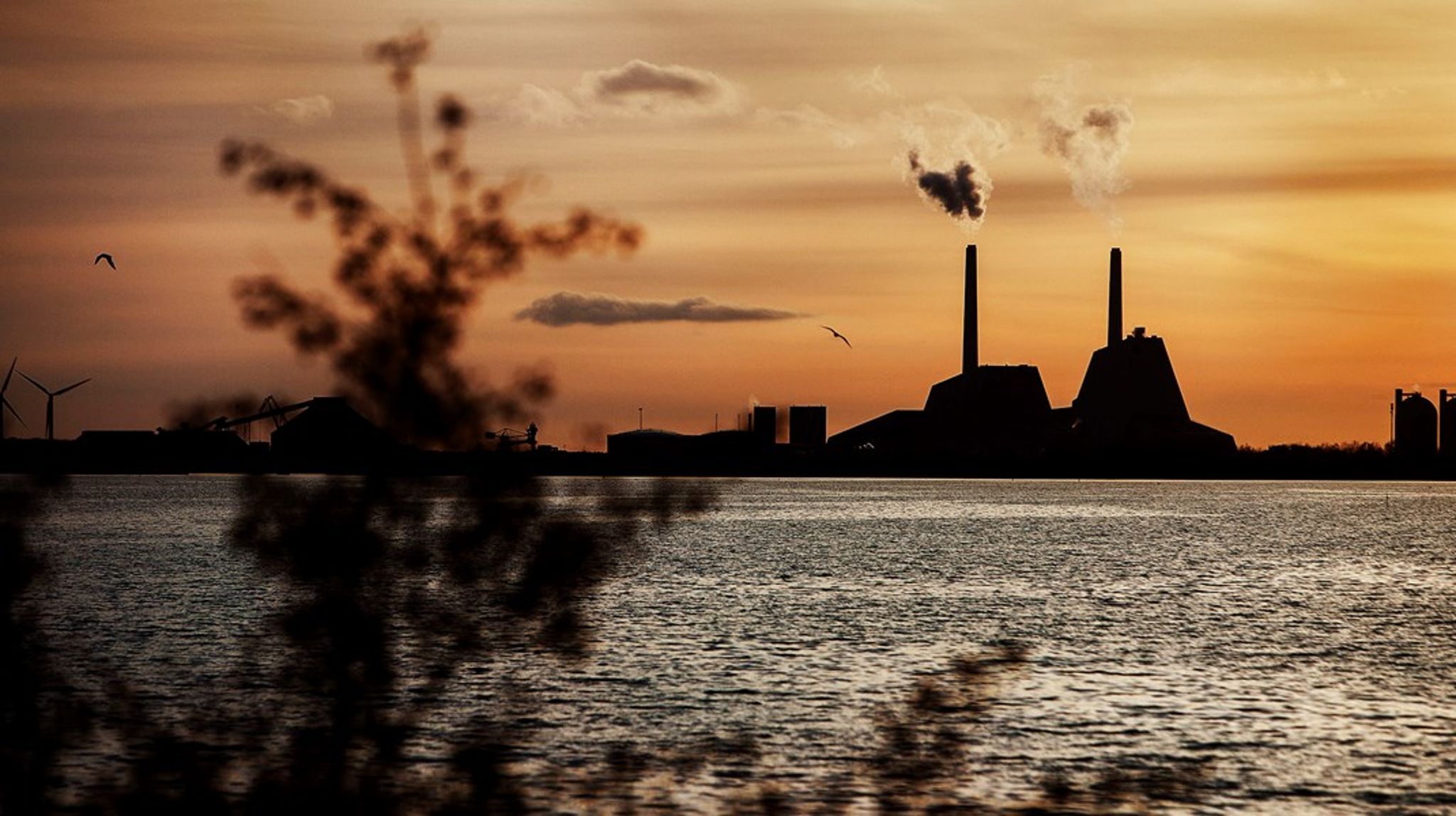 Store dele af samfundet vil i langt højere grad være elektrificeret. Alle sektorer bliver derfor afhængige af adgang til billig, CO2-neutral elektricitet, skriver Morten Stobbe.&nbsp;