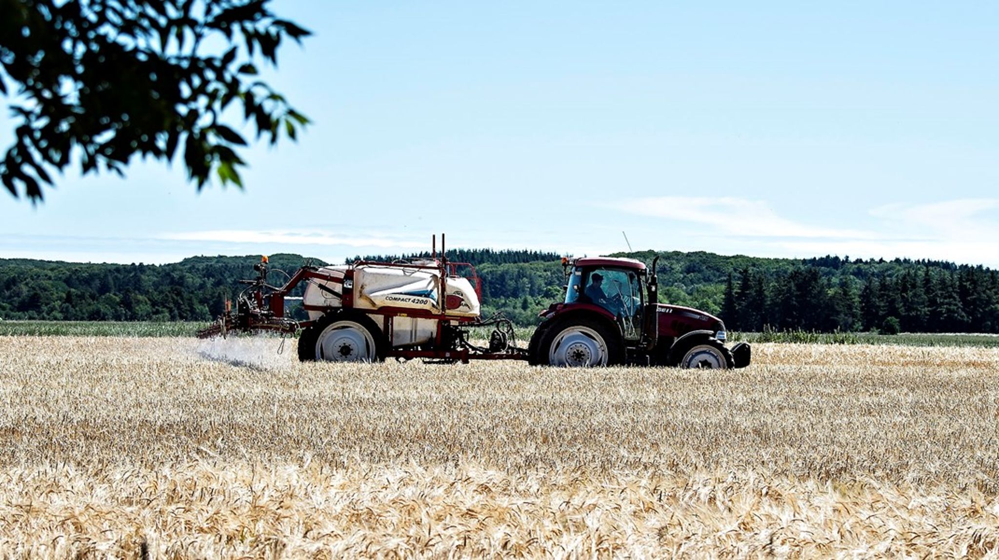 Anvendelsen af pesticider ser ud til at have direkte eller indirekte påvirkning på agerlandets biodiversitet, skriver Claus Lind Christensen, Egon Østergaard og Arne Henriksen.
