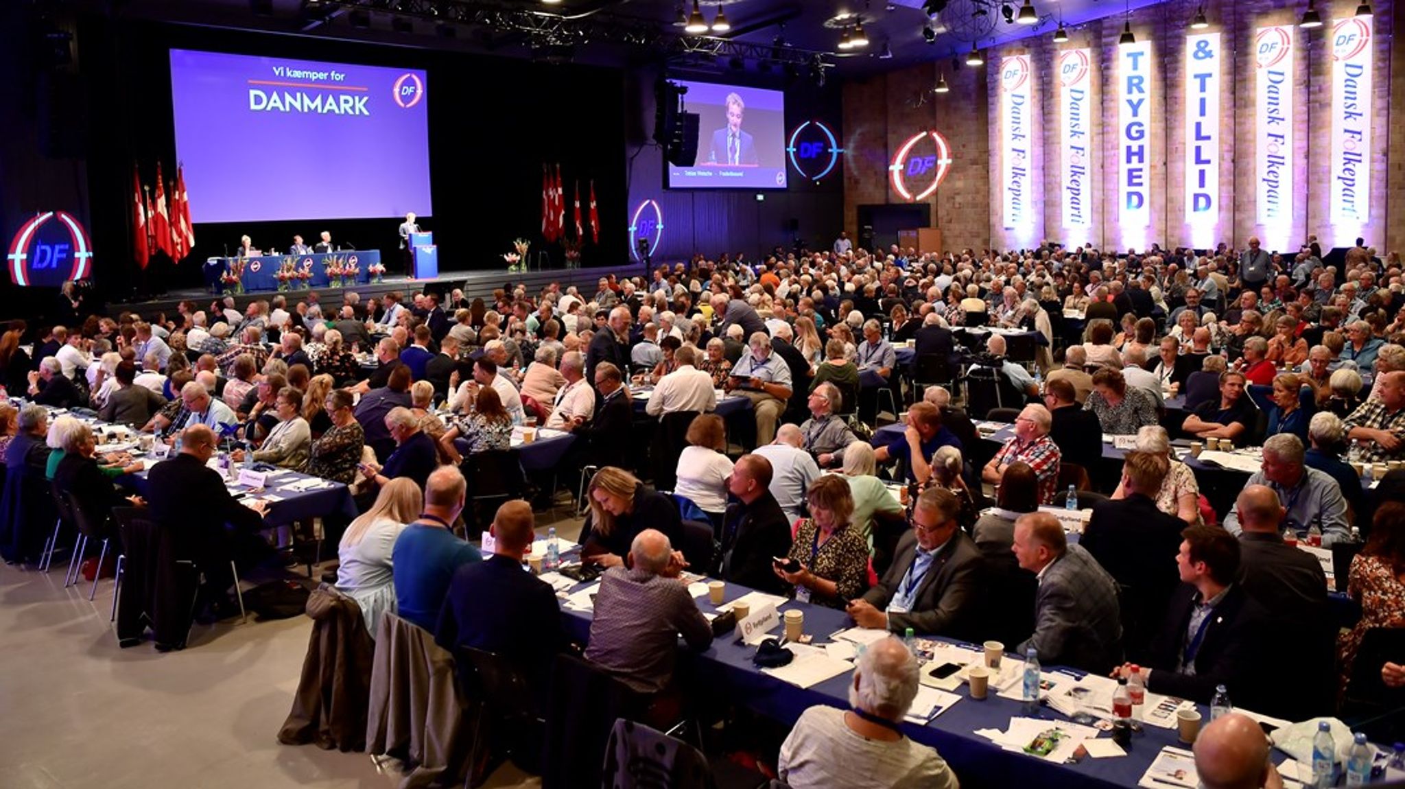 Dansk Folkepartis medlemmer samles søndag for&nbsp;at vælge ny formand. Den nye formand skal stå i spidsen for et parti med et vælgerkorps, som har ændret sig en del på få år. (Arkivfoto).