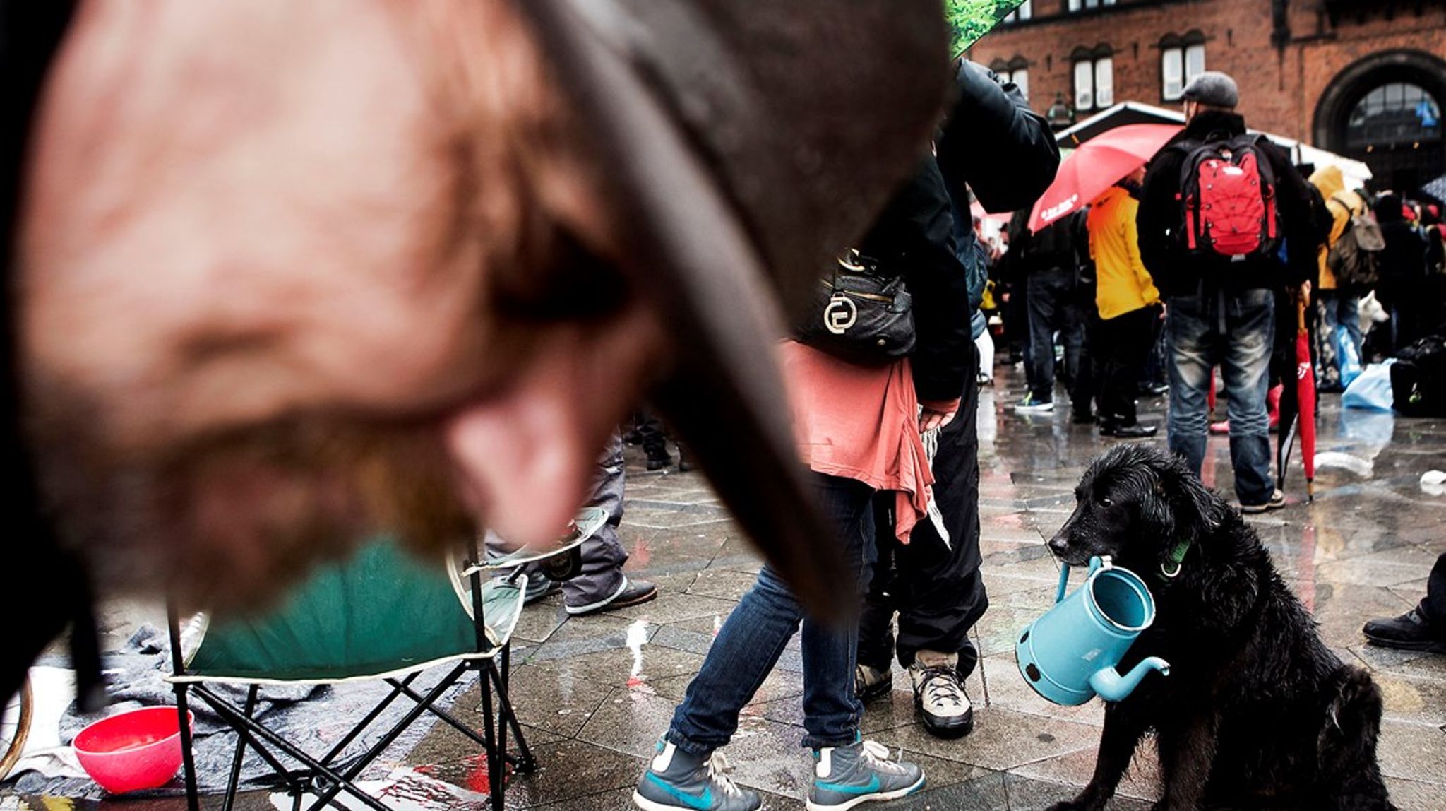 Med det sociale frikort kan stofbrugere og hjemløse tjene op til 20.000 kroner ved at tage småjob uden at blive modregnet i deres sociale ydelser. Den mulighed har et stigende antal borgere benyttet sig af, viser nye tal.