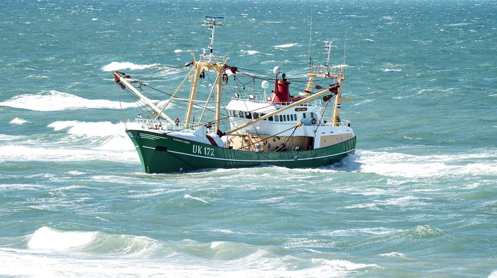 Vi så gerne, at klimaaftrykket kommer langt højere op på dagsordenen, når vi taler om fremtidens fiskeri i Danmark. Vi håber derfor, at den kommende fiskerikommission vil tage klimaproblematikken op, skriver Cathrine Pedersen Schirmer.