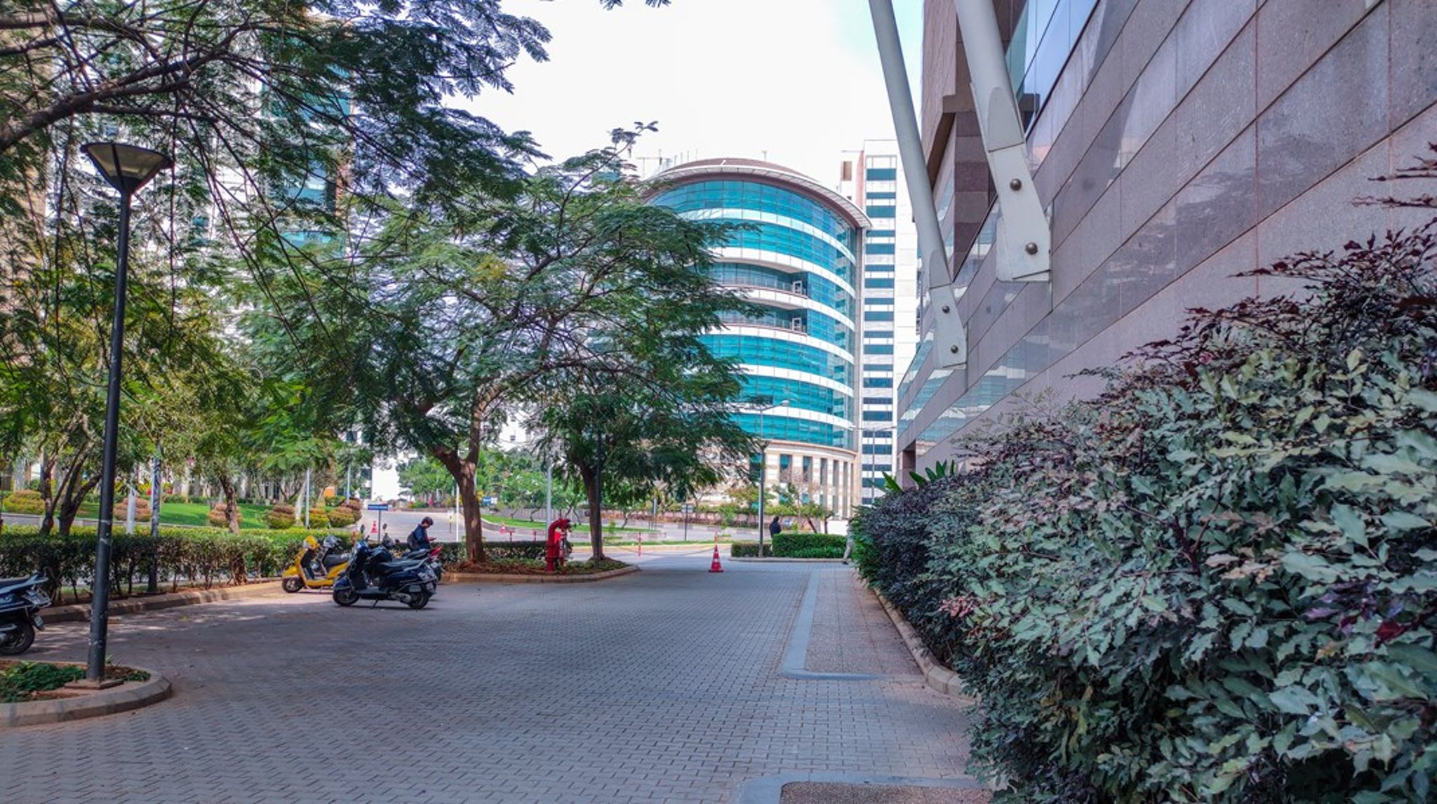 I Bangalore ligger de store techvirksomheders pletfri campus lige op og ned af Indiens kaotiske mylder