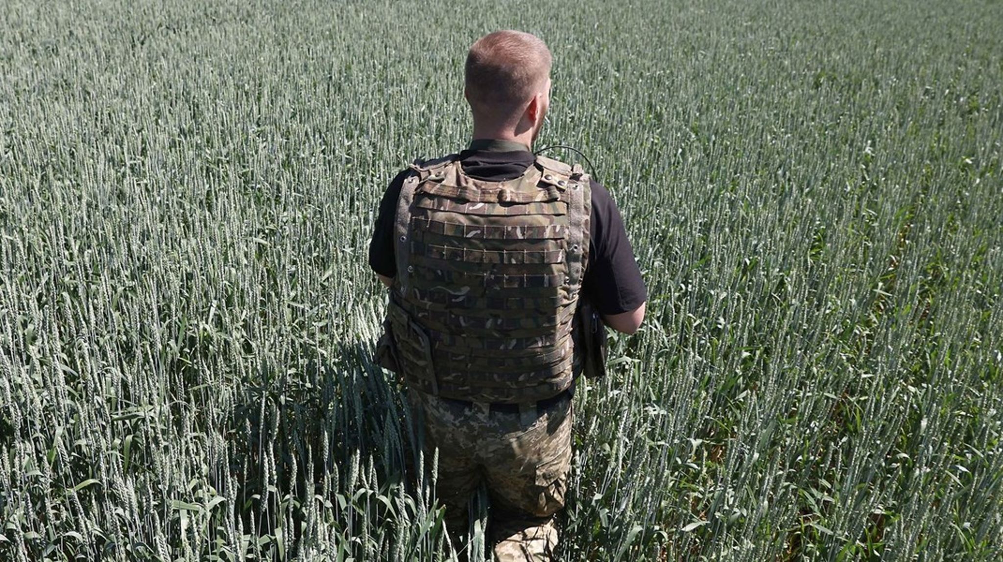 Ukraine og Rusland leverer tilsammen mere end en tredjedel af den hvede, der importeres af 45 udviklingslande. Krigen i Ukraine risikerer derfor at udgøre en trussel mod fødevarersikkerheden. Foto: Ukraine, juni, 2022.