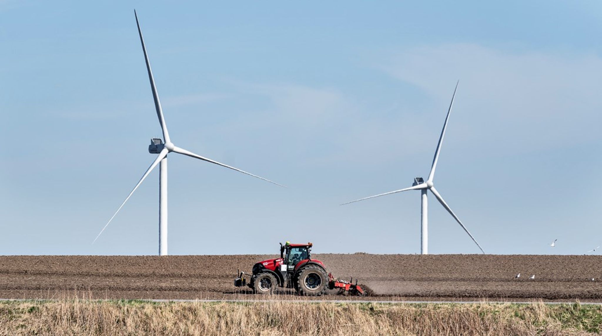 "Der stilles ingen regulære udbudskrav til it-løsninger, leverandørernes klimaaftryk eller for den sags skyld leverandørernes grønne omstillingsevne," skriver Henrik Fugmann.