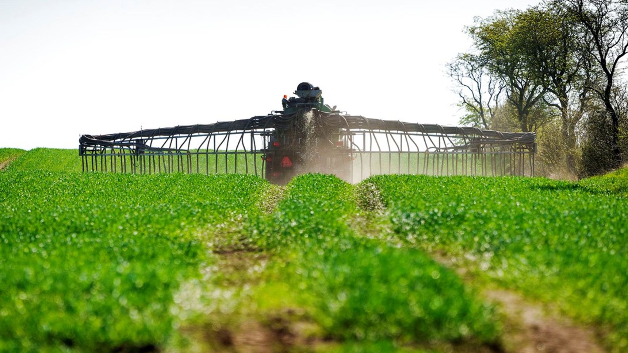 Skal vi helt droppe energiproduktionen på landjord? Ikke nødvendigvis – men det skal nøje planlægges, så det ikke går udover fødevareproduktionen, skriver&nbsp;Marie-Louise Boisen Lendal. Arkivfoto.