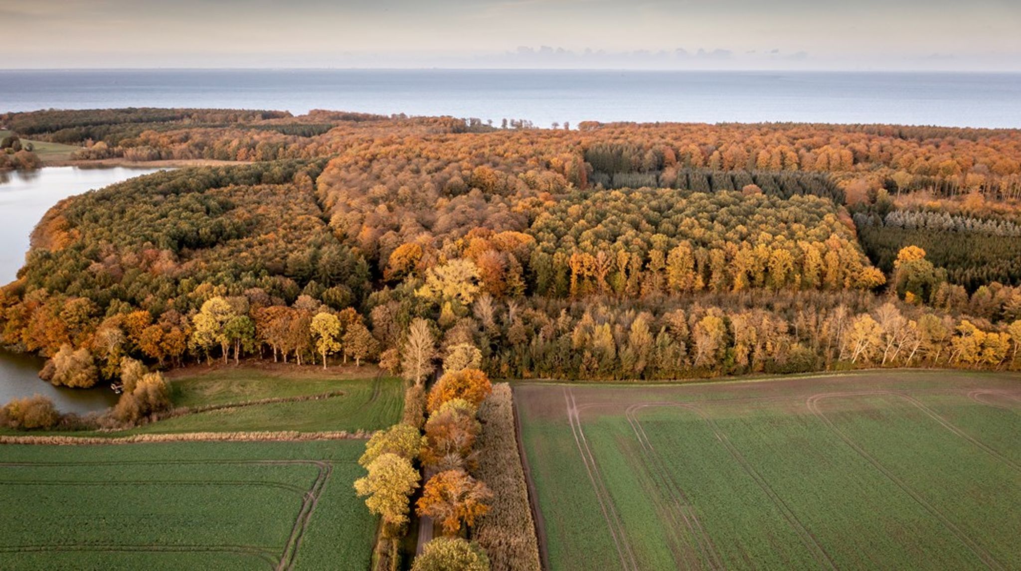 Klimaskovfonden bidrager til at nå Folketingets ambitiøse CO2-reduktionsmål gennem klimaprojekter i Danmark, med etablering af skov og udtager kulstofrige lavbundsarealer.