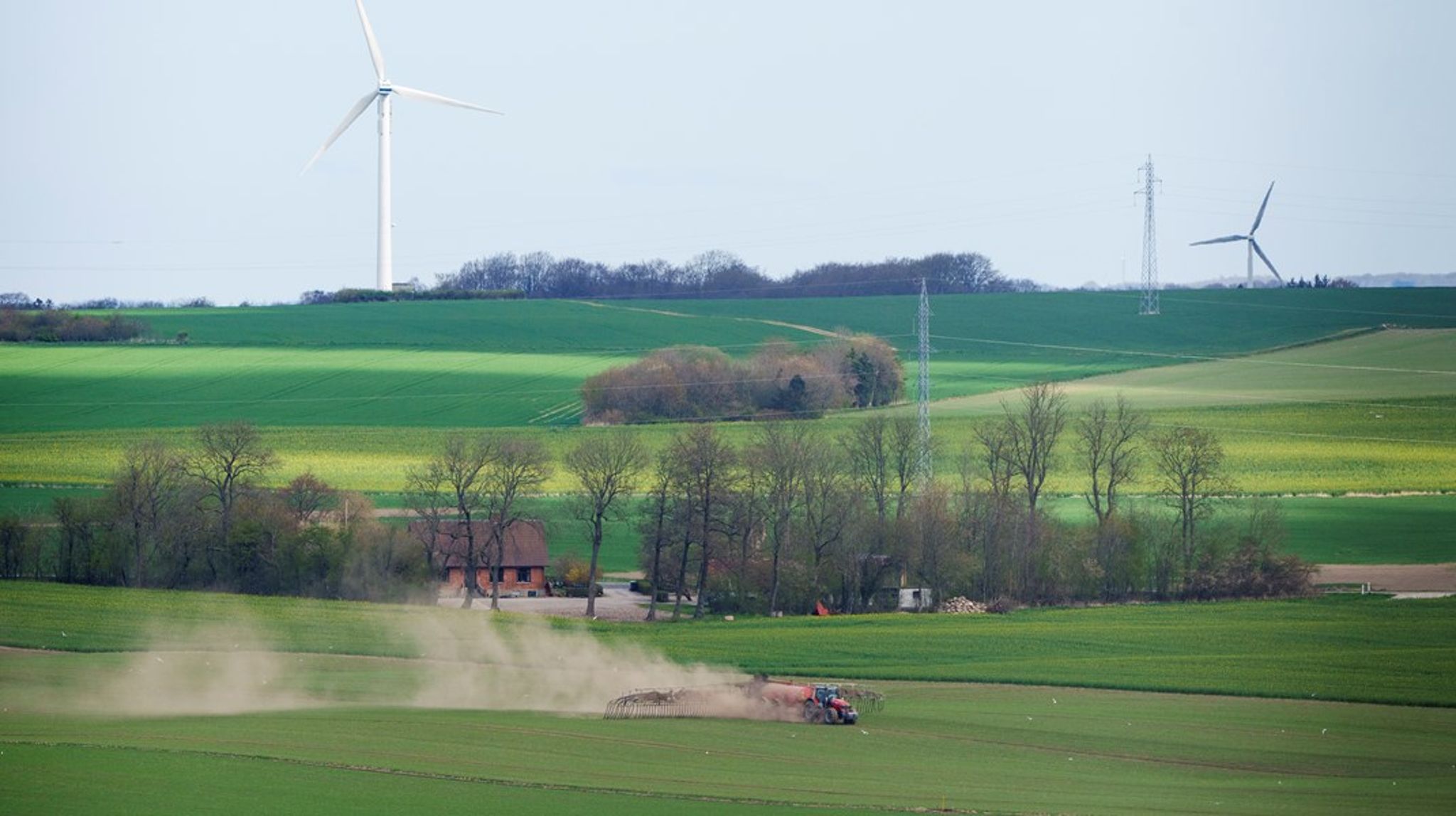 Det løser ikke fødevarekrisen at droppe brakordningen, hvor landbrugsarealer tages ud af drift af naturhensyn for at dyrke mere korn, men vil skabe større problemer på den lange bane, skriver Kristine Clement.