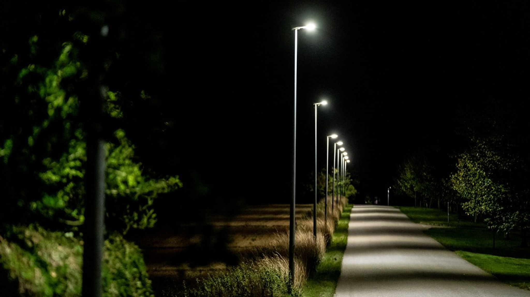 Ultimativt er der kun én
måde Danmark og resten af Europa kan komme fornuftigt igennem vinteren - og det
er ved at spare på energien, skriver&nbsp;Rasmus Lindø Kaslund og&nbsp;Michael H. Nielsen.