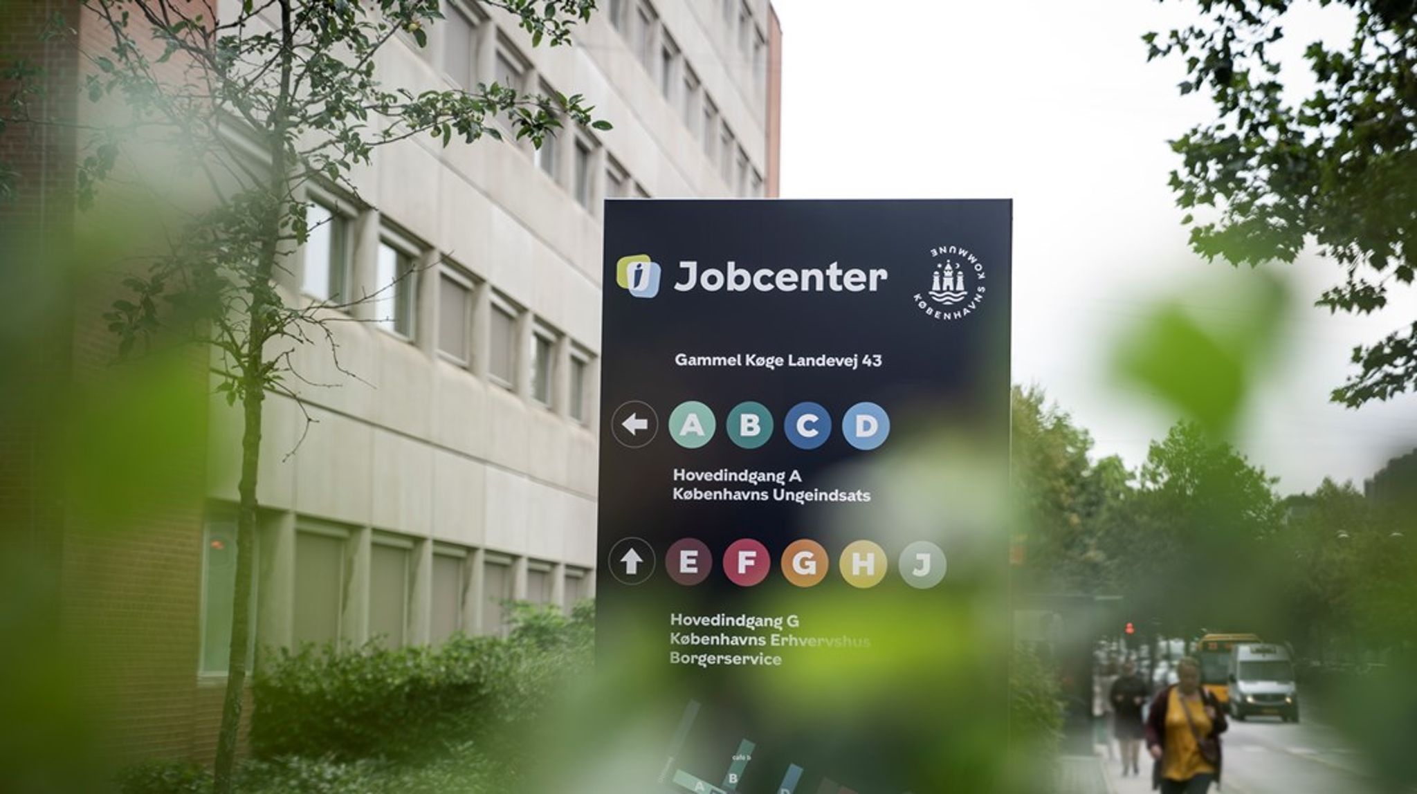 Unge nyuddannede vil ikke hellere dandere den på dimmitendsats end at finde et arbejde, skriver Morten Kvist Refskov.&nbsp;