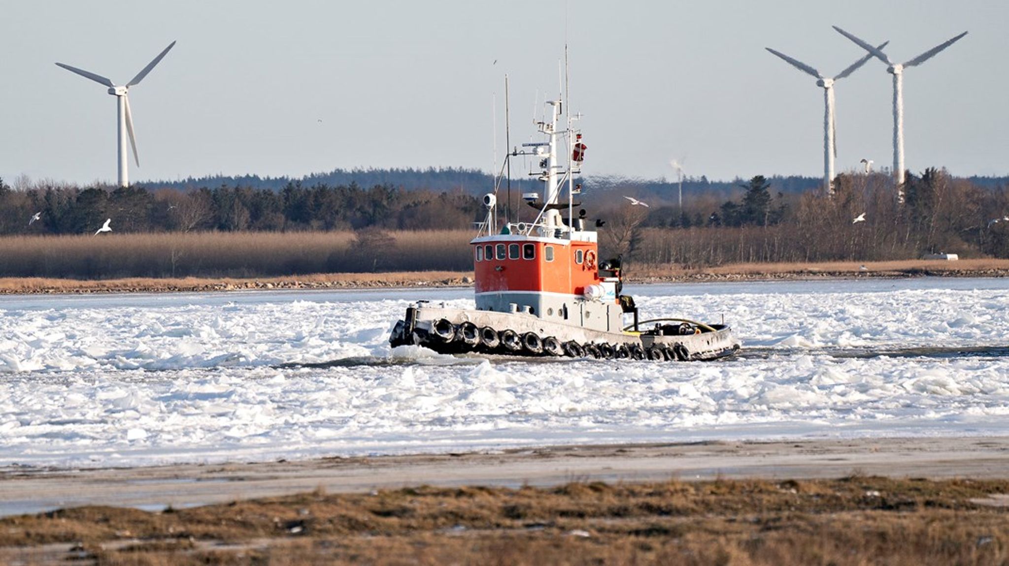 En kold og vindstille vinter kan godt blive dyr, når russerne har lukket for gassen til Europa.&nbsp;Men lige nu er de værste skrækscenarier for skyhøje energipriser til vinter afblæst.&nbsp;