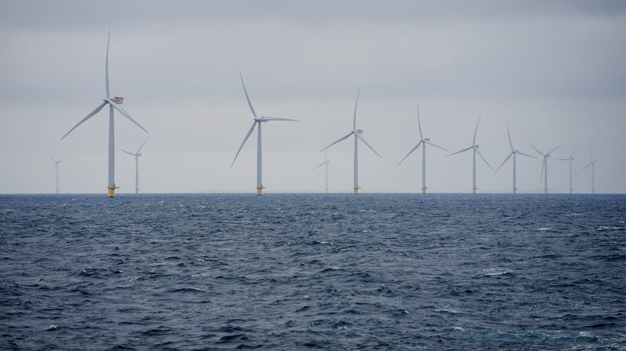 Havvindmøller er tidligere blevet droppet af hensyn til fugle. Nu skal 30 procent af havet helt friholdes fra ideer om vindmøller og energiøer af hensyn til biodiversitet og naturlig havbund, hvis det står til nyt ekspertråd.&nbsp;