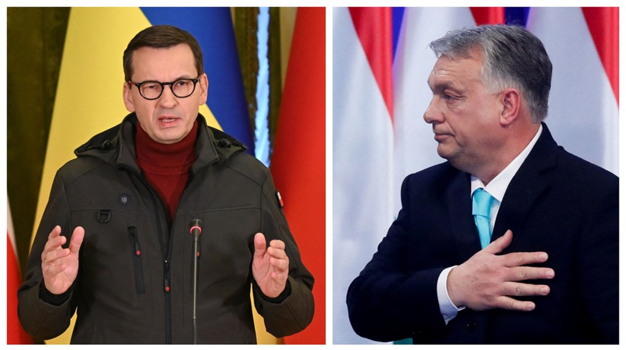 Da den nye ungarske præsident, Katalin Novák, i maj 2022 var på visit i Polen for at reparere på forholdet, blev hun mødt af en polsk premierminister, der var immun overfor hendes personlige charme, skriver Vibe Termansen.