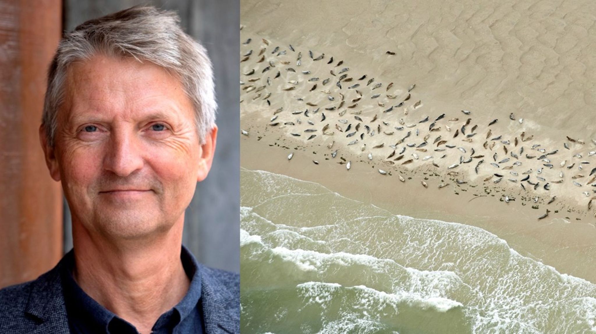 Den naturskønne nationalpark er udpeget til Unescos verdensarv. Området er skabt af tidevandet og bølger og er et fødereservoir for sæler.