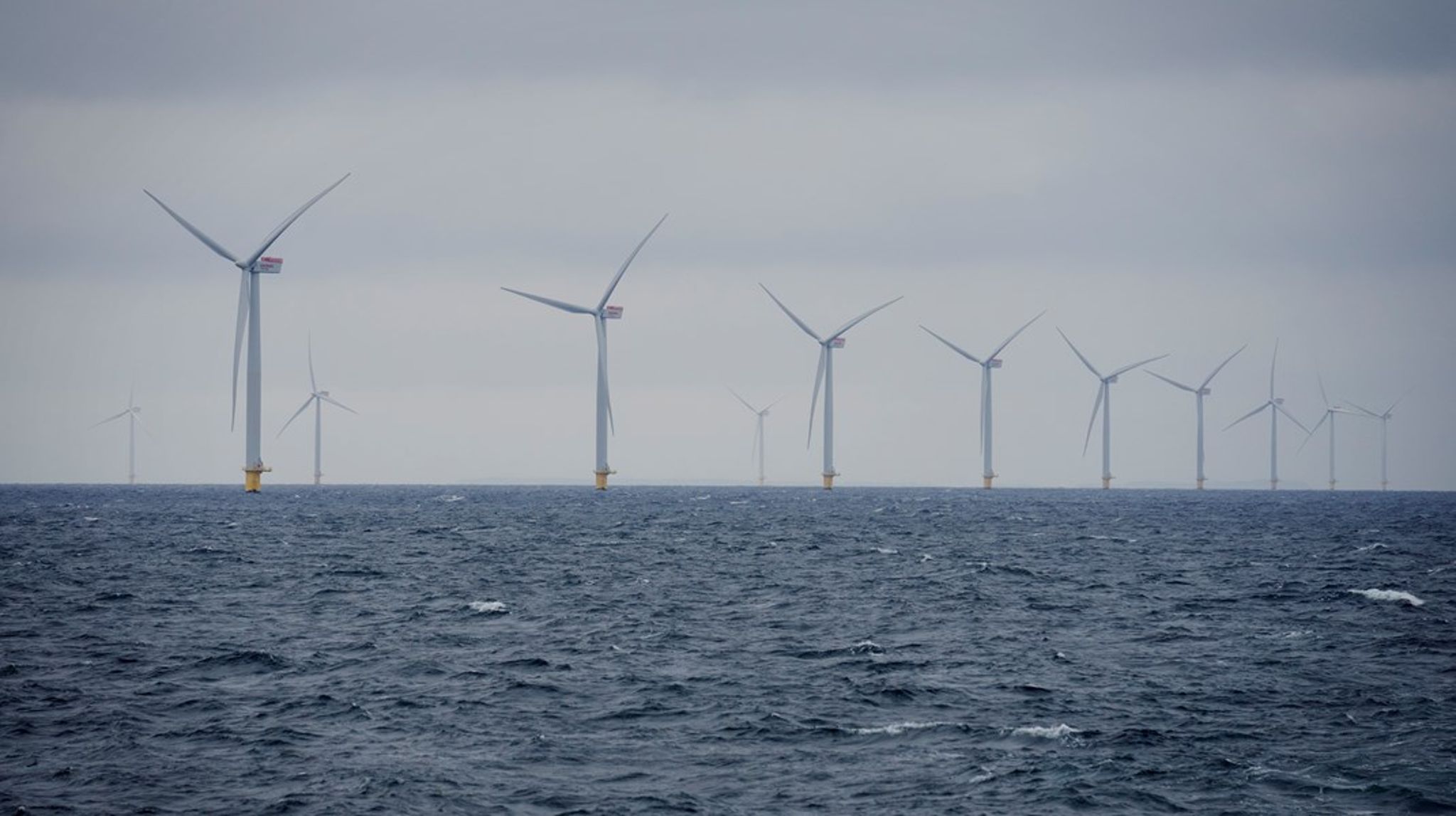 Aftale om havvind sikrer en halv milliard&nbsp;til havnaturen.