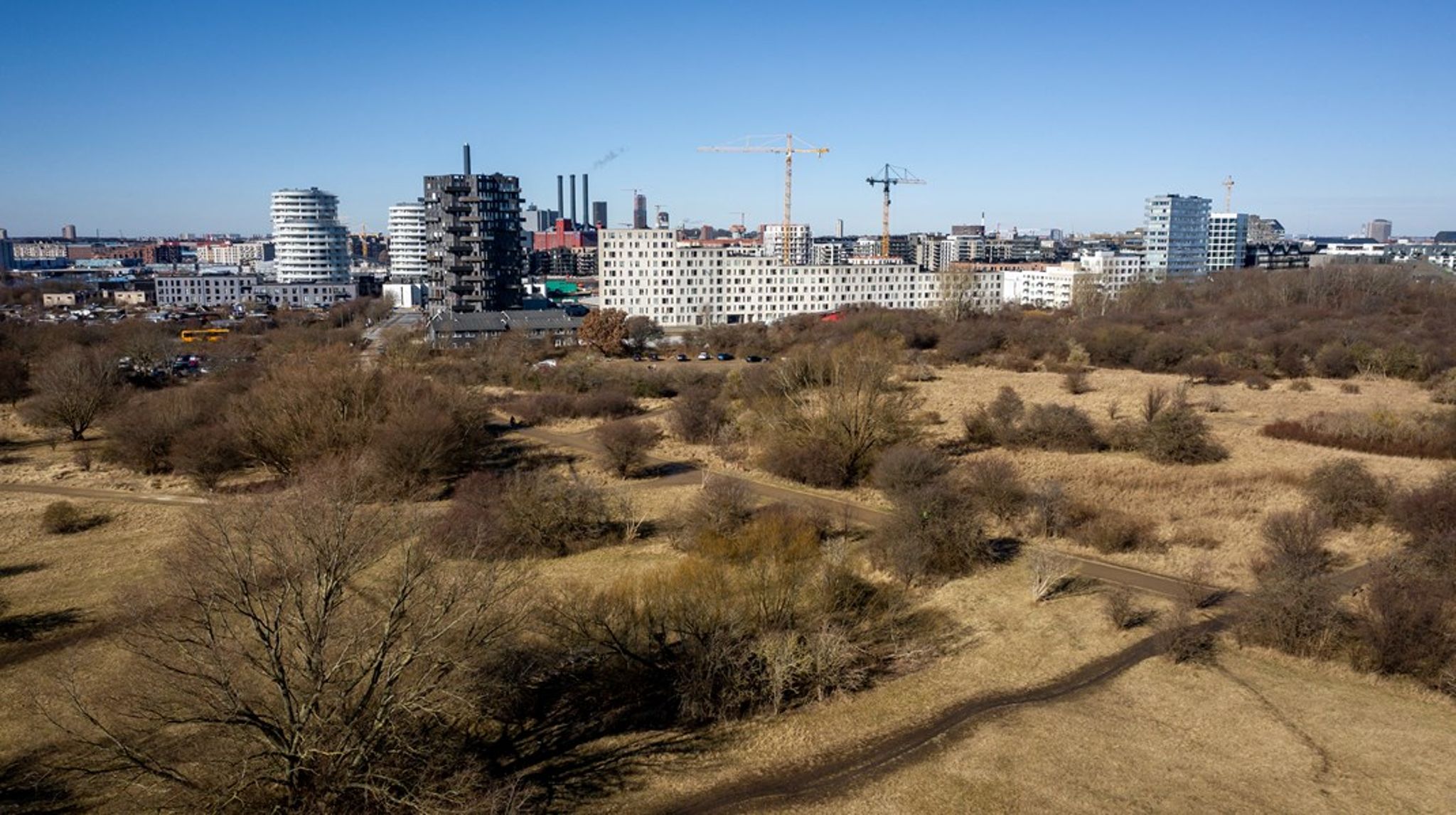 Vi kan fuldt tilslutte os, at Amager Fælled og Kalvebod Fælled sammentænkes og forbindes af en faunapassage, skriver Kresten Thomsen.